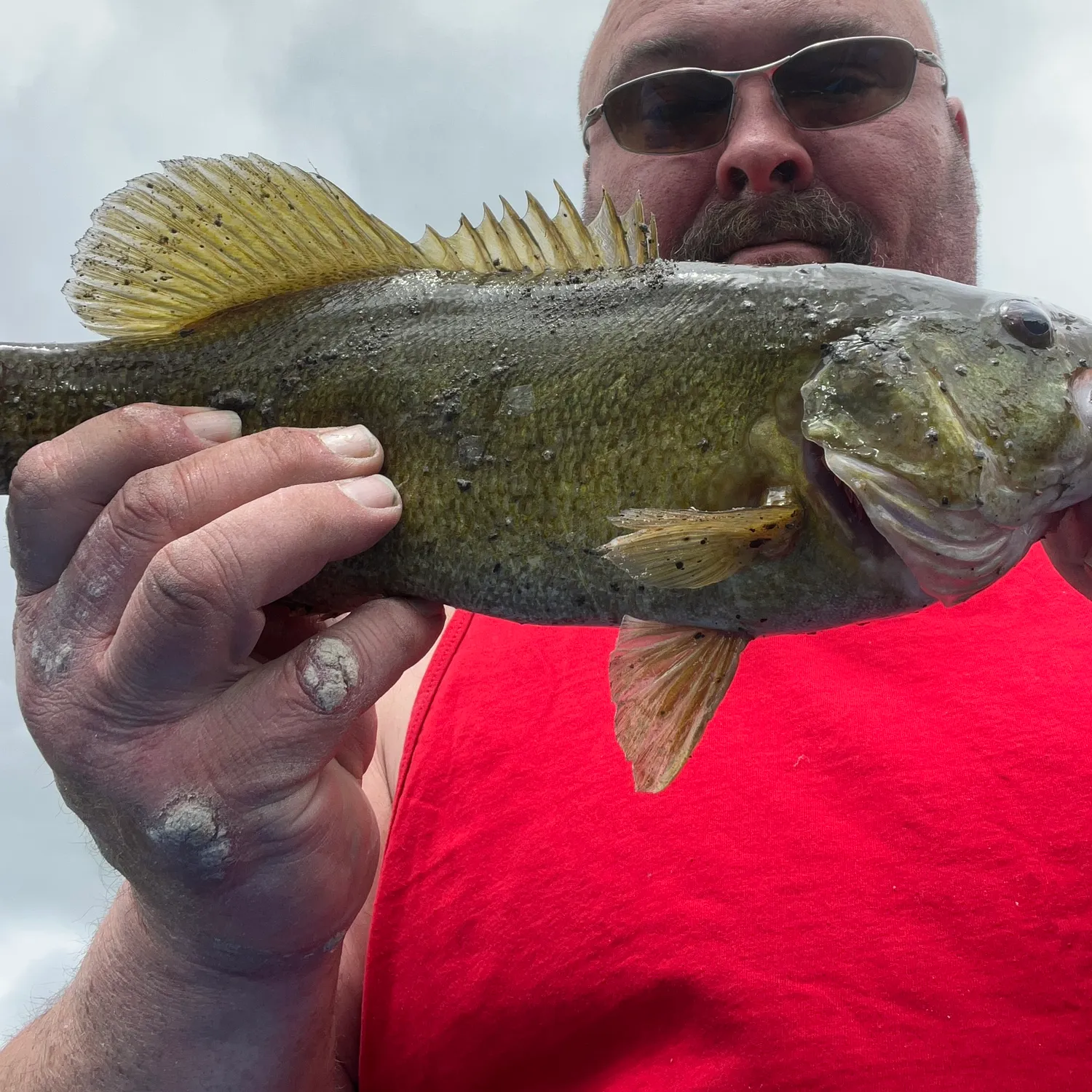 Smallmouth bass caught on Fishbrain