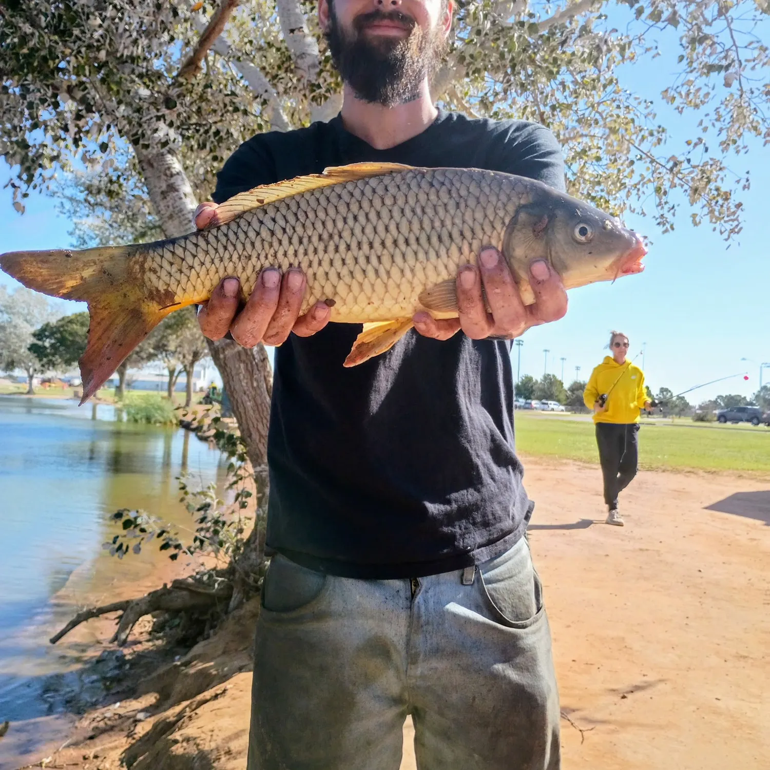 Common carp caught on Fishbrain