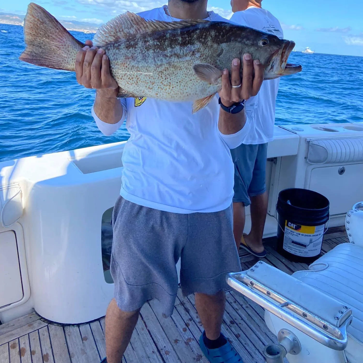 most liked catch image