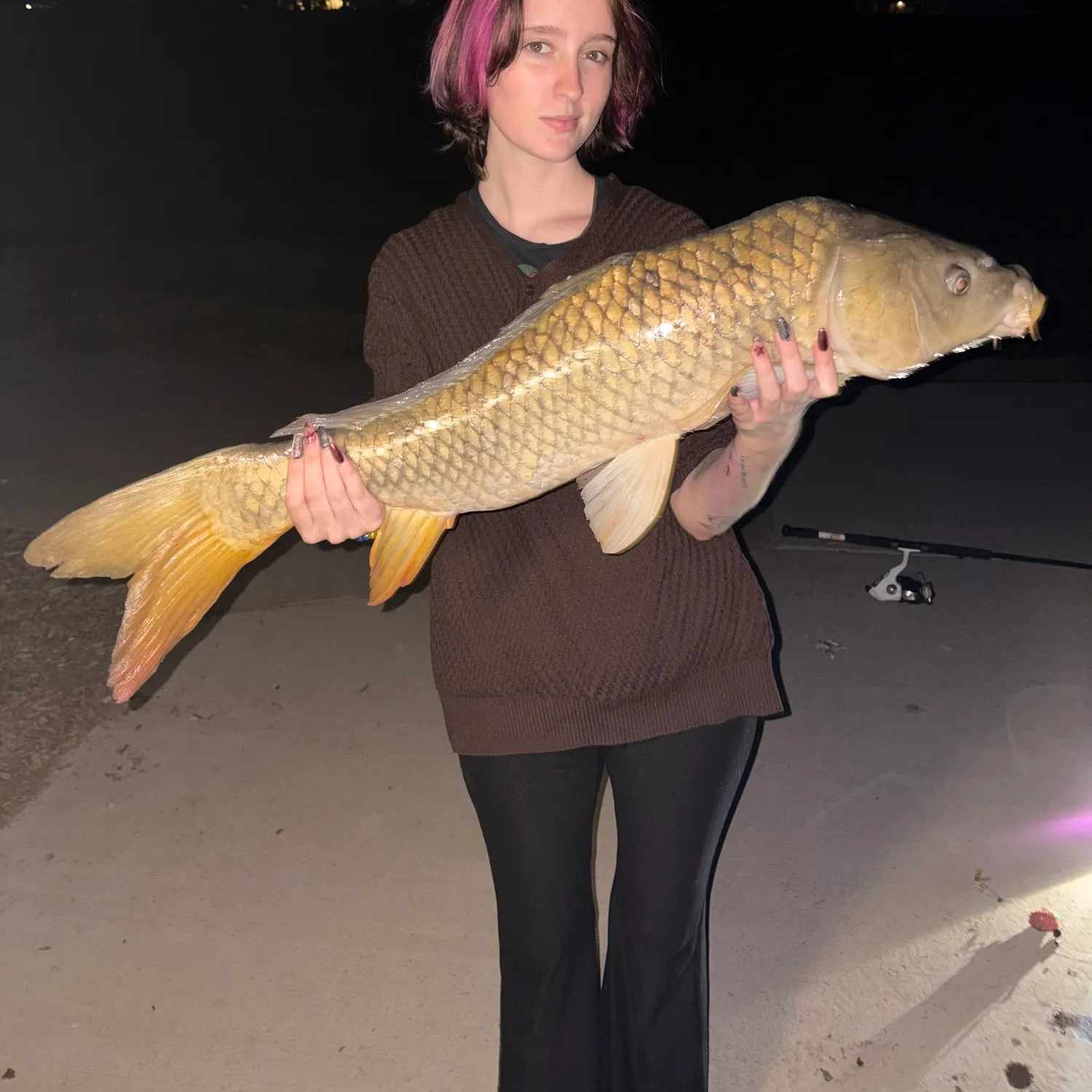 Common carp caught on Fishbrain