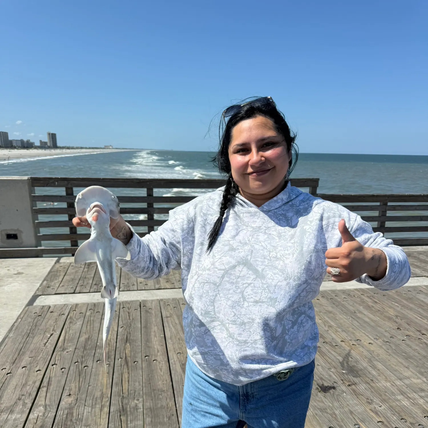 The most recent Bonnethead shark catches on Fishbrain