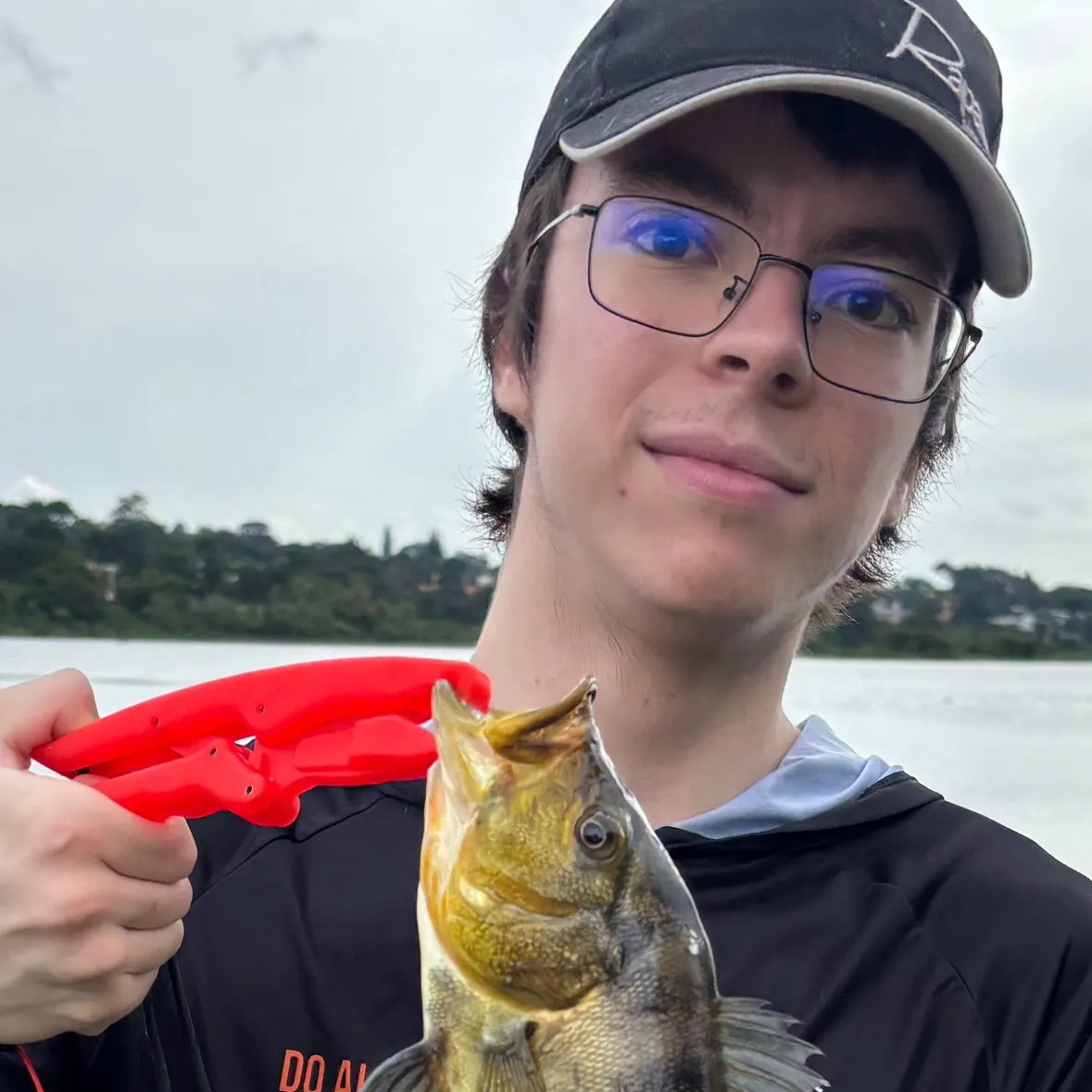 The most recent Monoculus peacock bass catches on Fishbrain