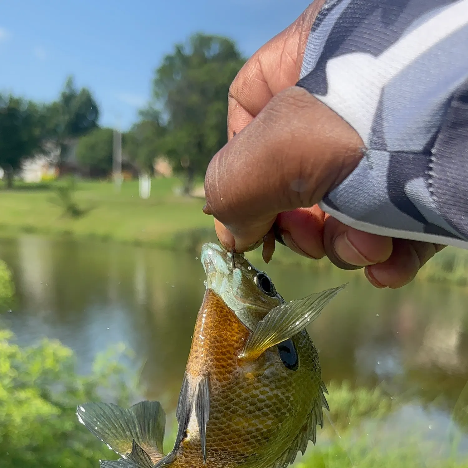 catch