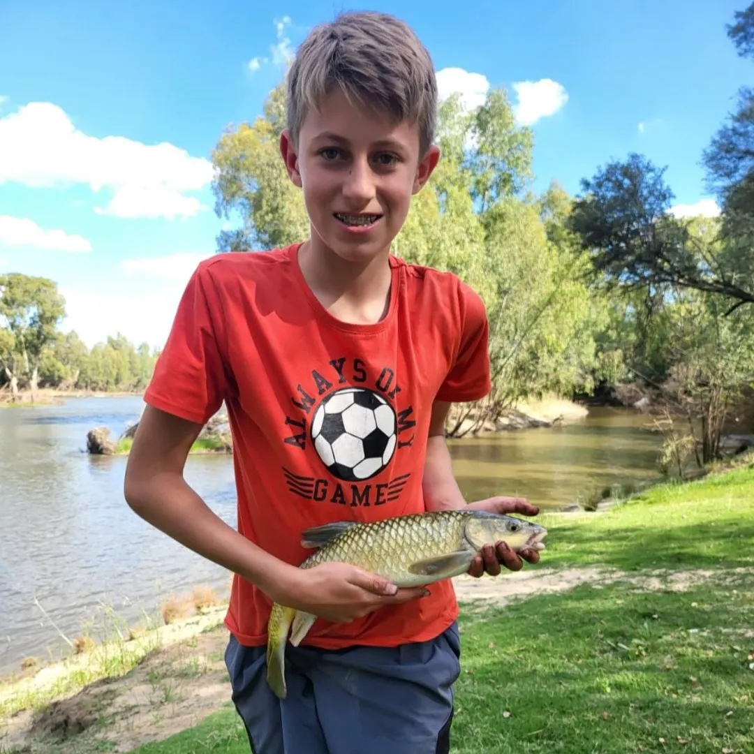The most recent Smallmouth yellowfish catches on Fishbrain