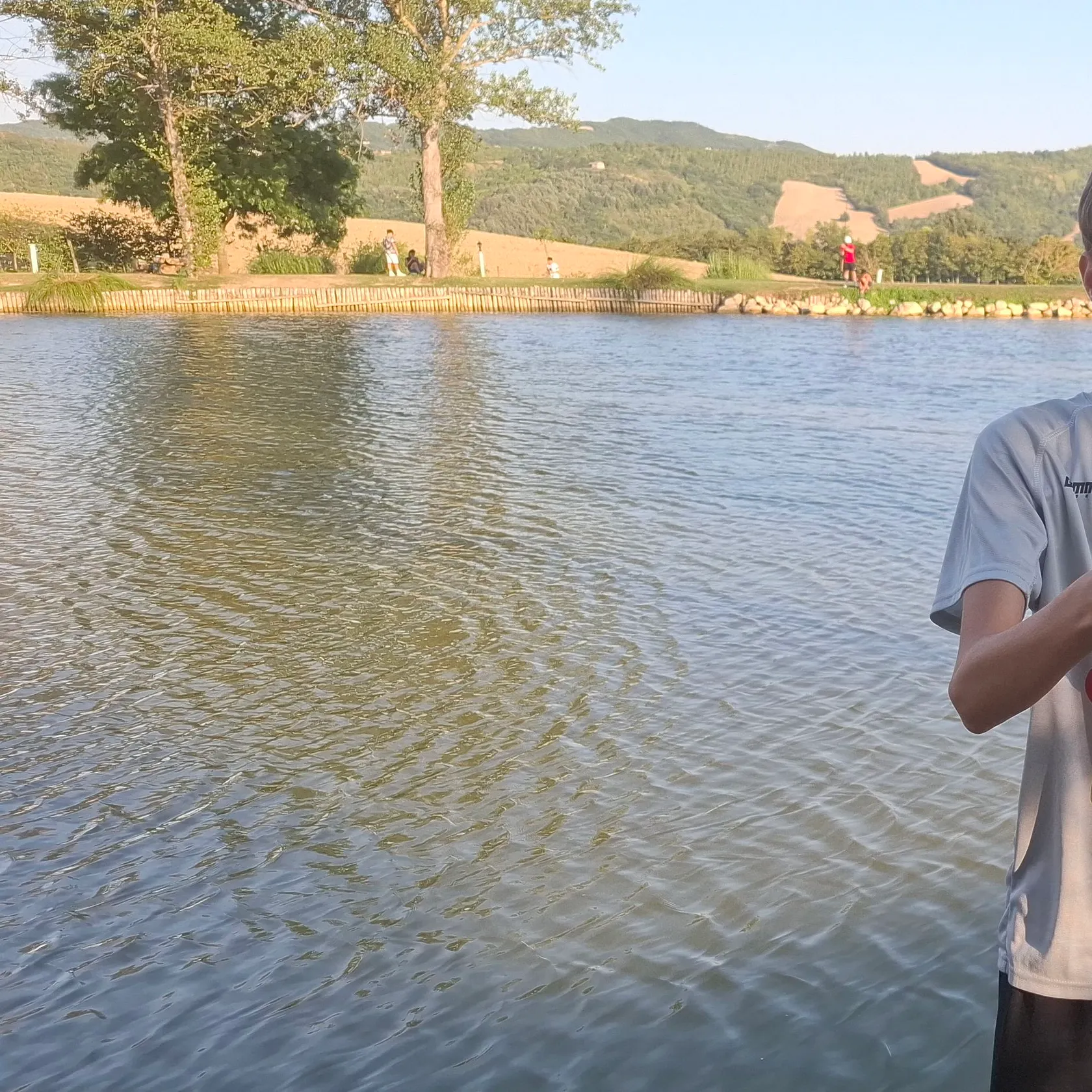 Common carp caught on Fishbrain