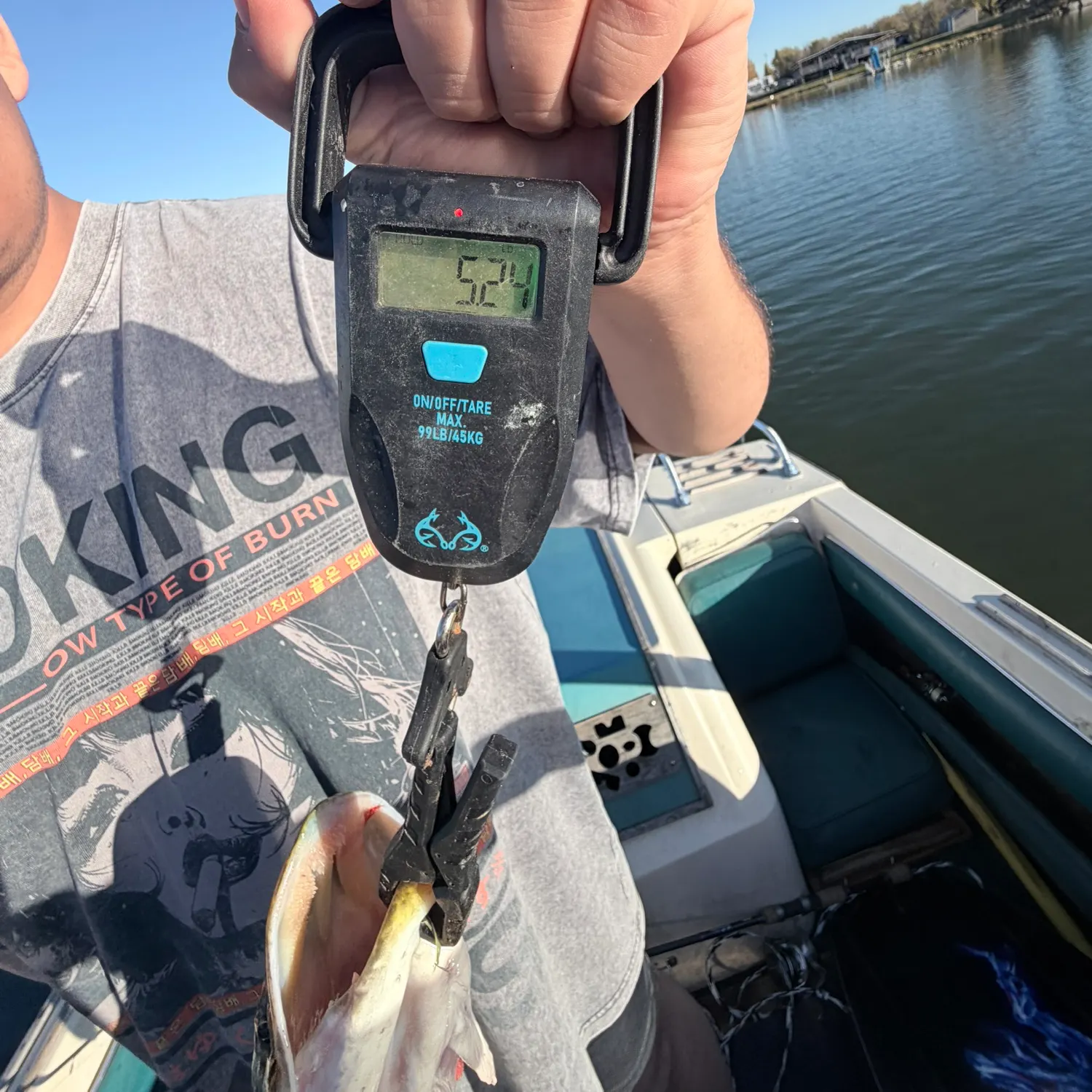 Northern pike caught on Fishbrain