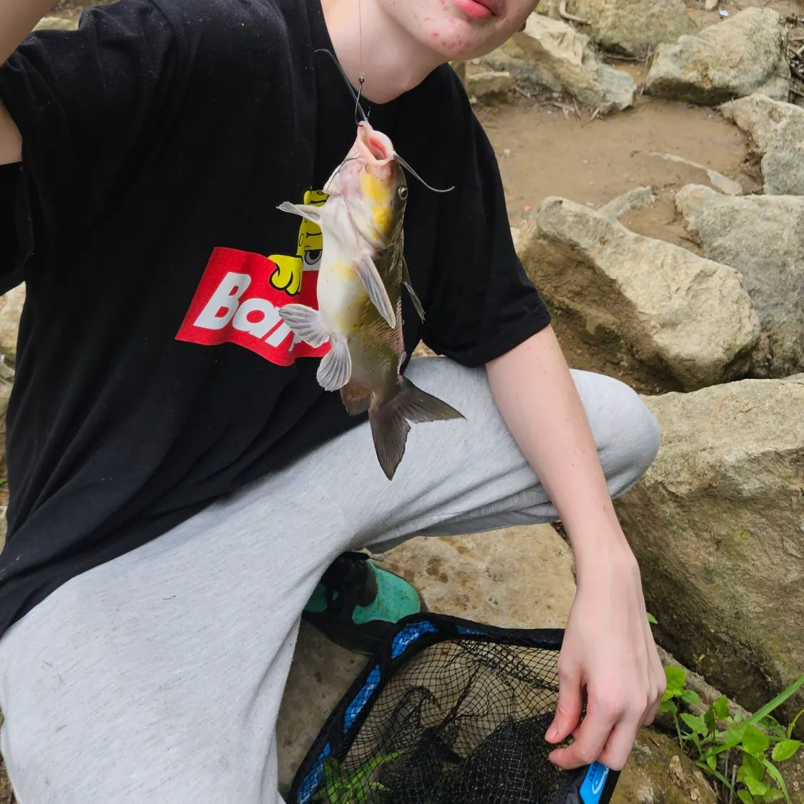 catch