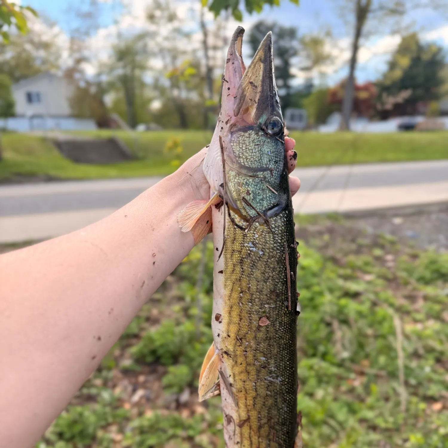 catch