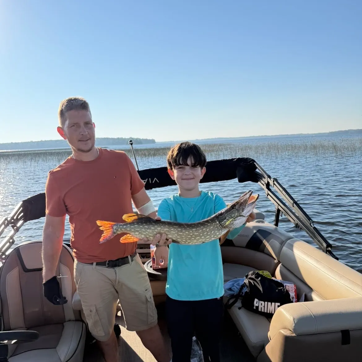 Northern pike caught on Fishbrain