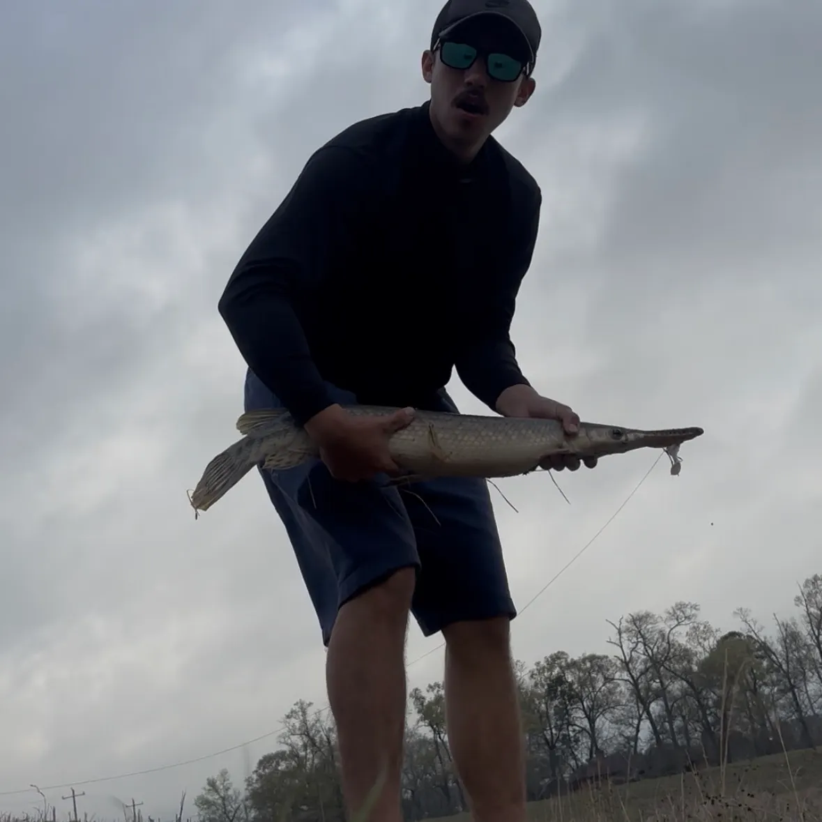 The most recent Spotted gar catches on Fishbrain
