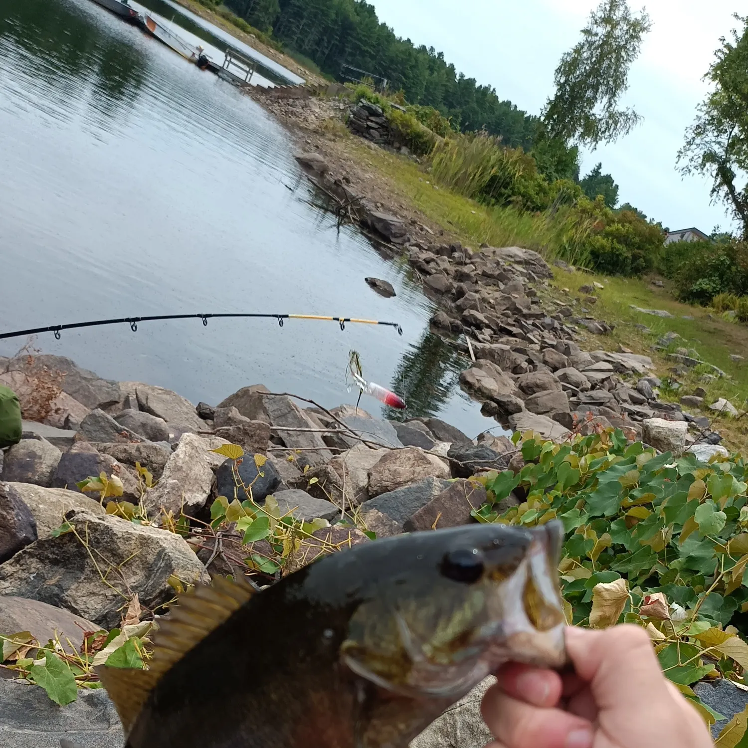 catch