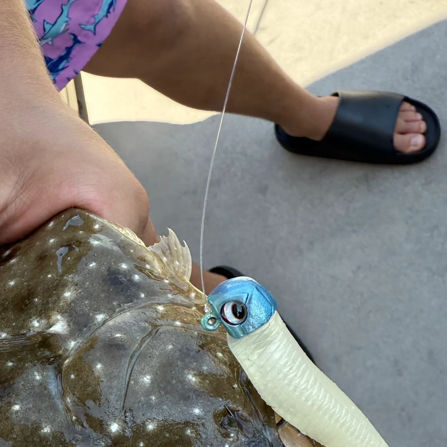 The most recent Summer flounder catches on Fishbrain