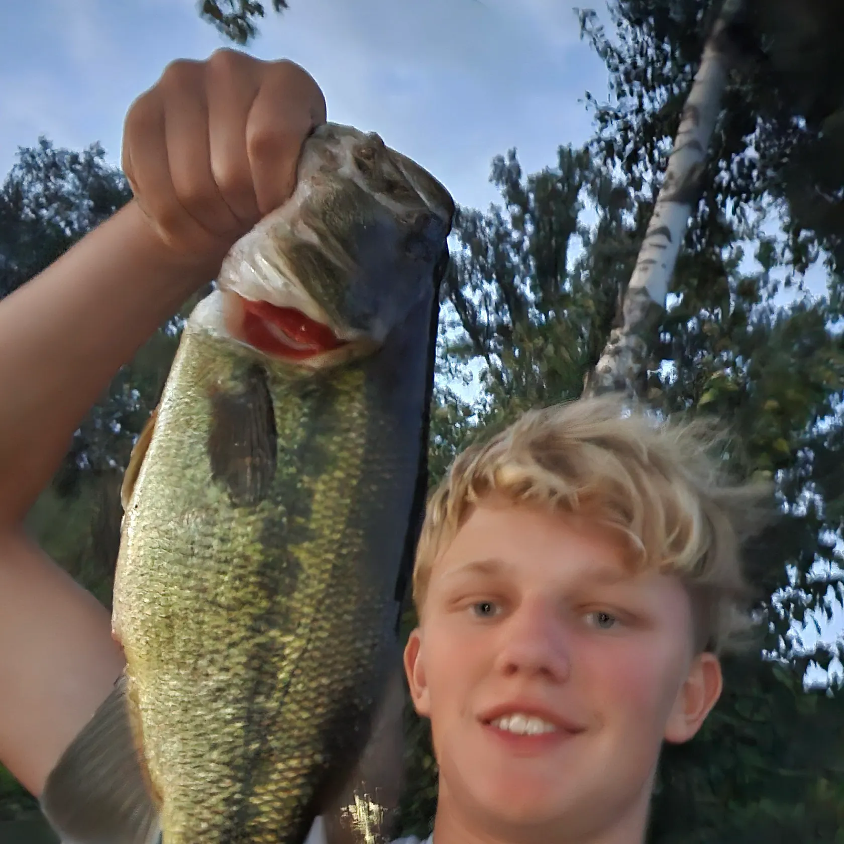 Largemouth bass caught on Fishbrain