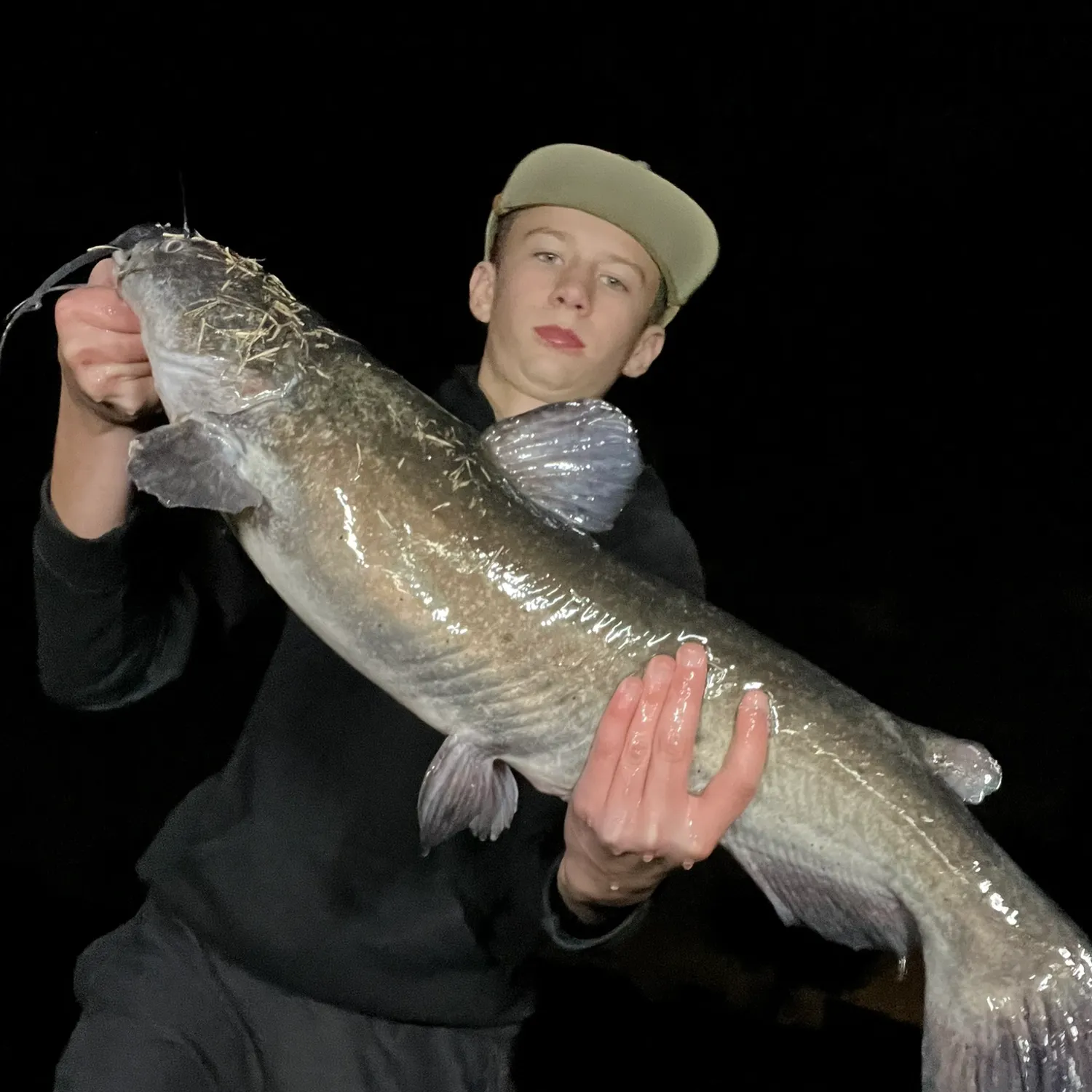 The most recent Channel catfish catches on Fishbrain