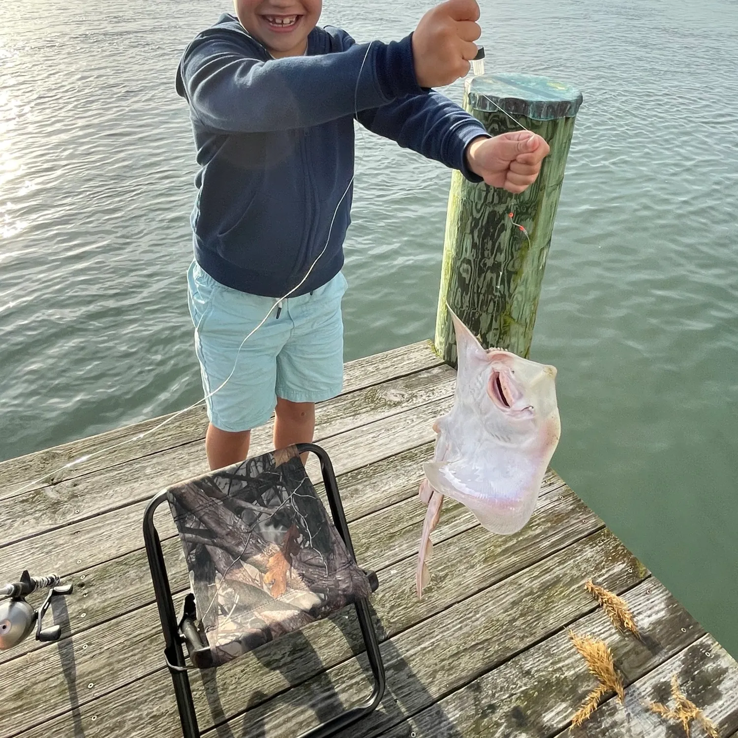 The most recent Clearnose skate catches on Fishbrain