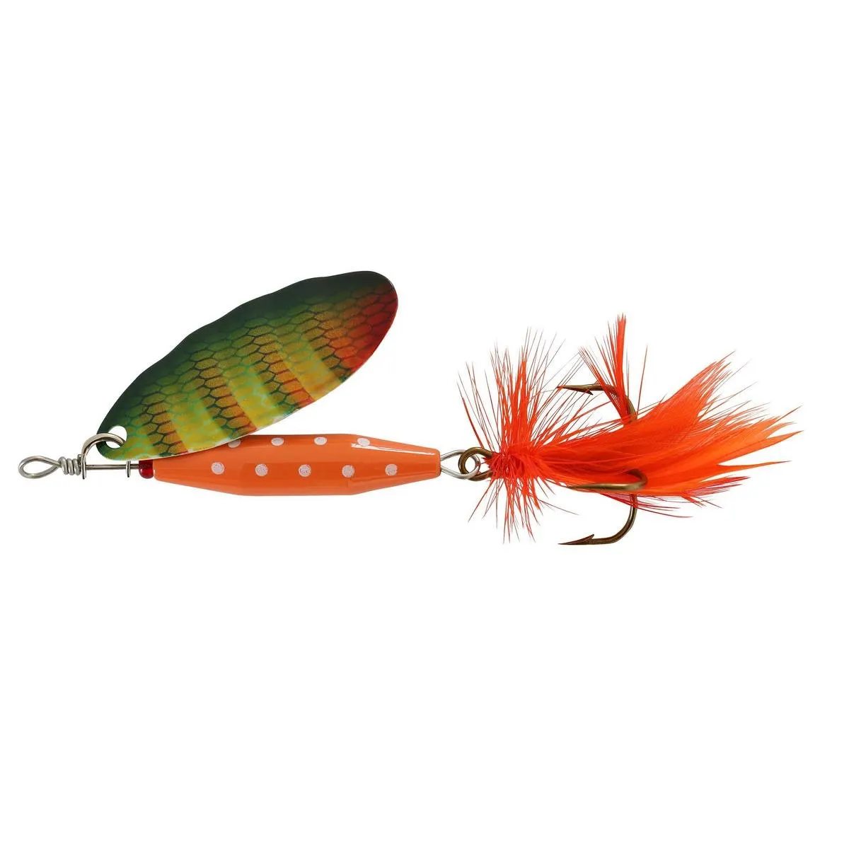 Fishing for European perch near you