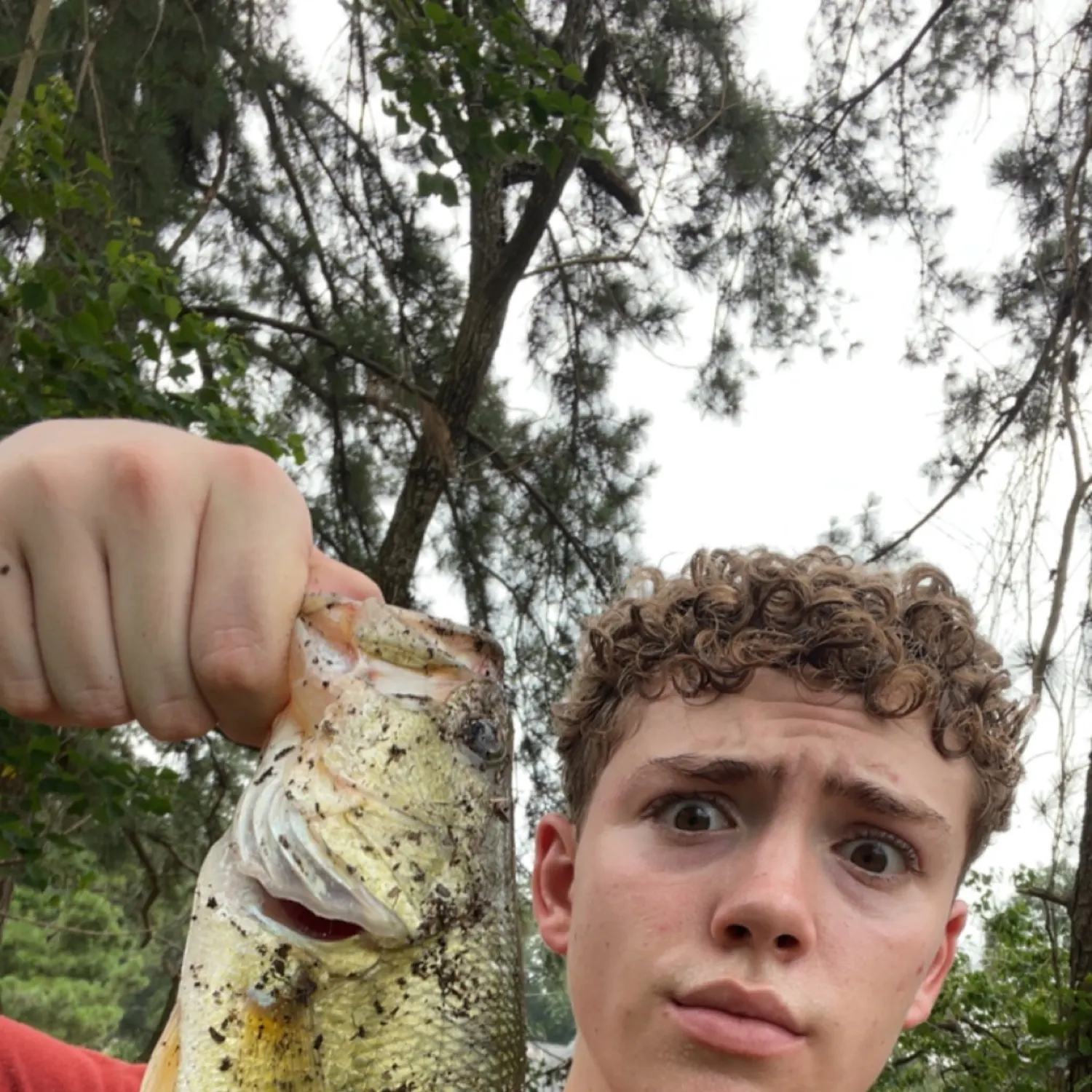 angler catch