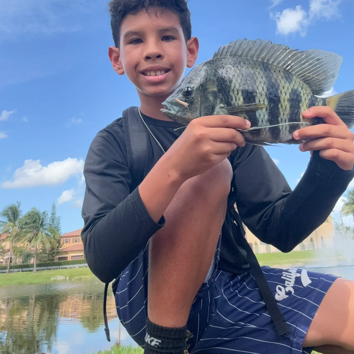 The most recent Zebra tilapia catches on Fishbrain