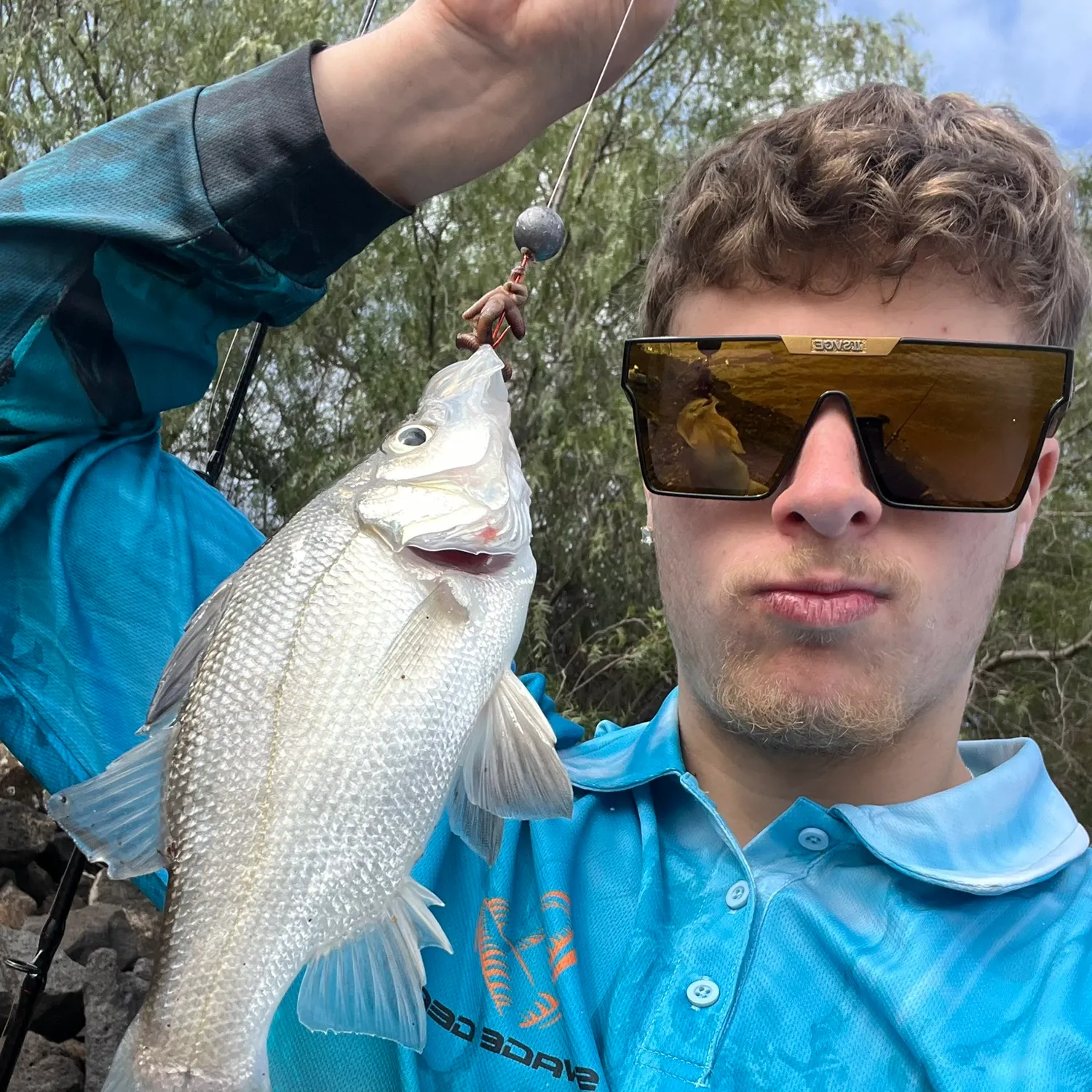 The most recent Bidyan perch catches on Fishbrain