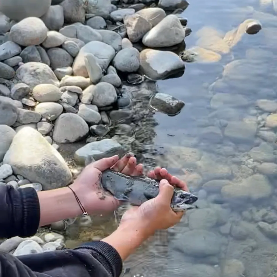 Kokanee salmon caught on Fishbrain