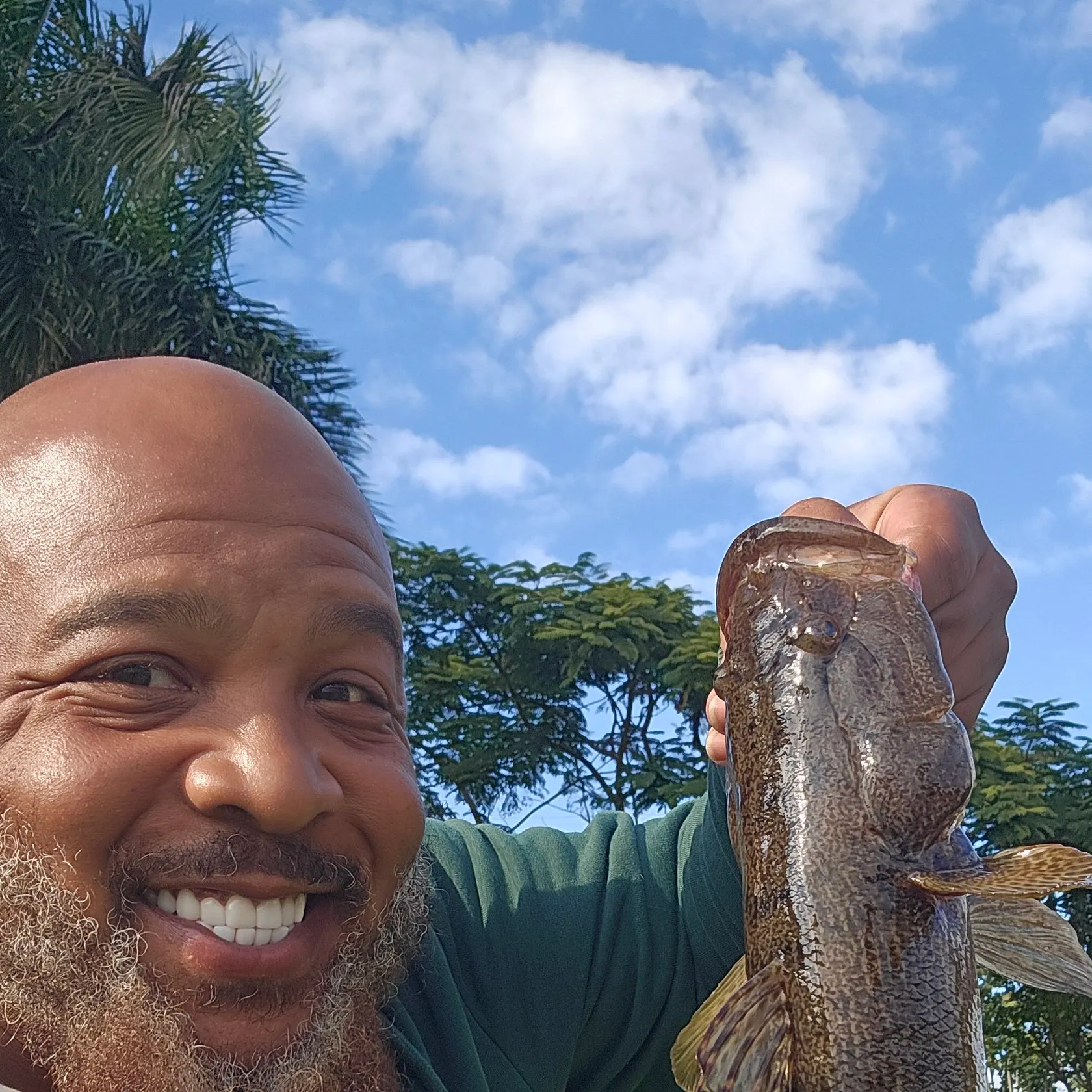 The most recent Bigmouth sleeper catches on Fishbrain