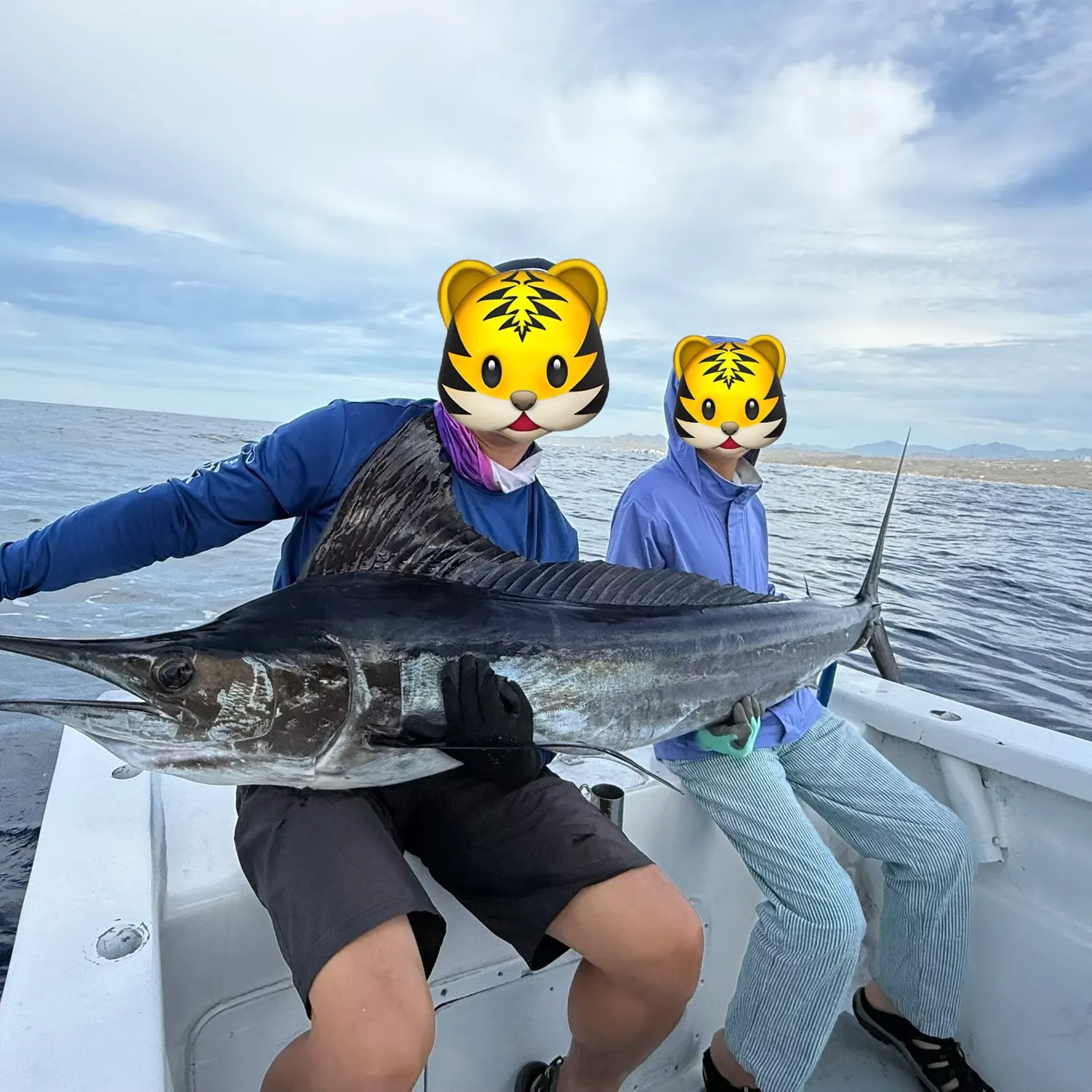 The most recent Striped marlin catches on Fishbrain