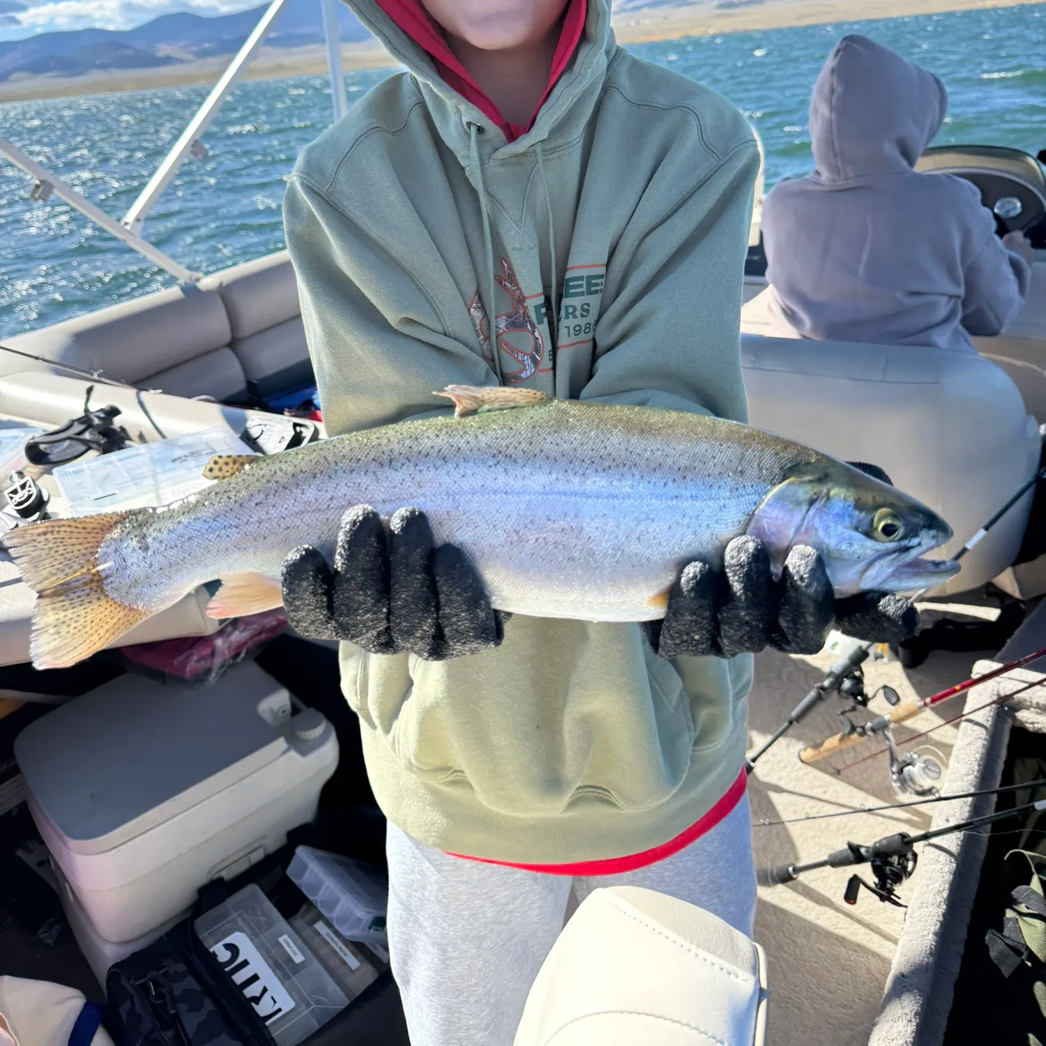Cutbow caught on Fishbrain