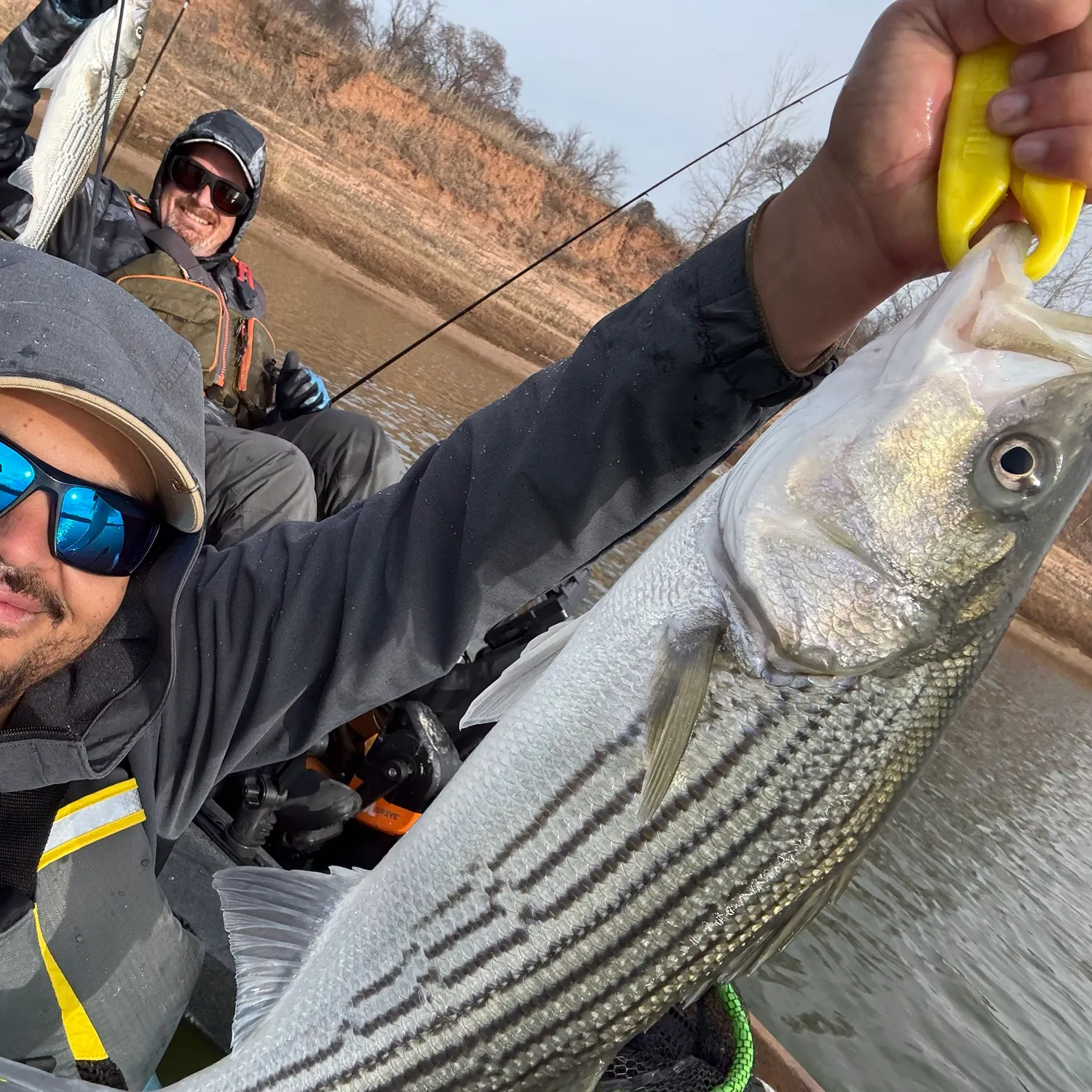 The most recent Striped bass catches on Fishbrain