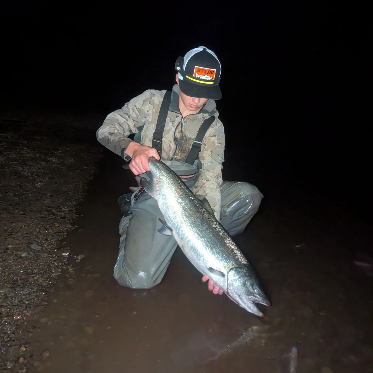 Chinook salmon caught on Fishbrain
