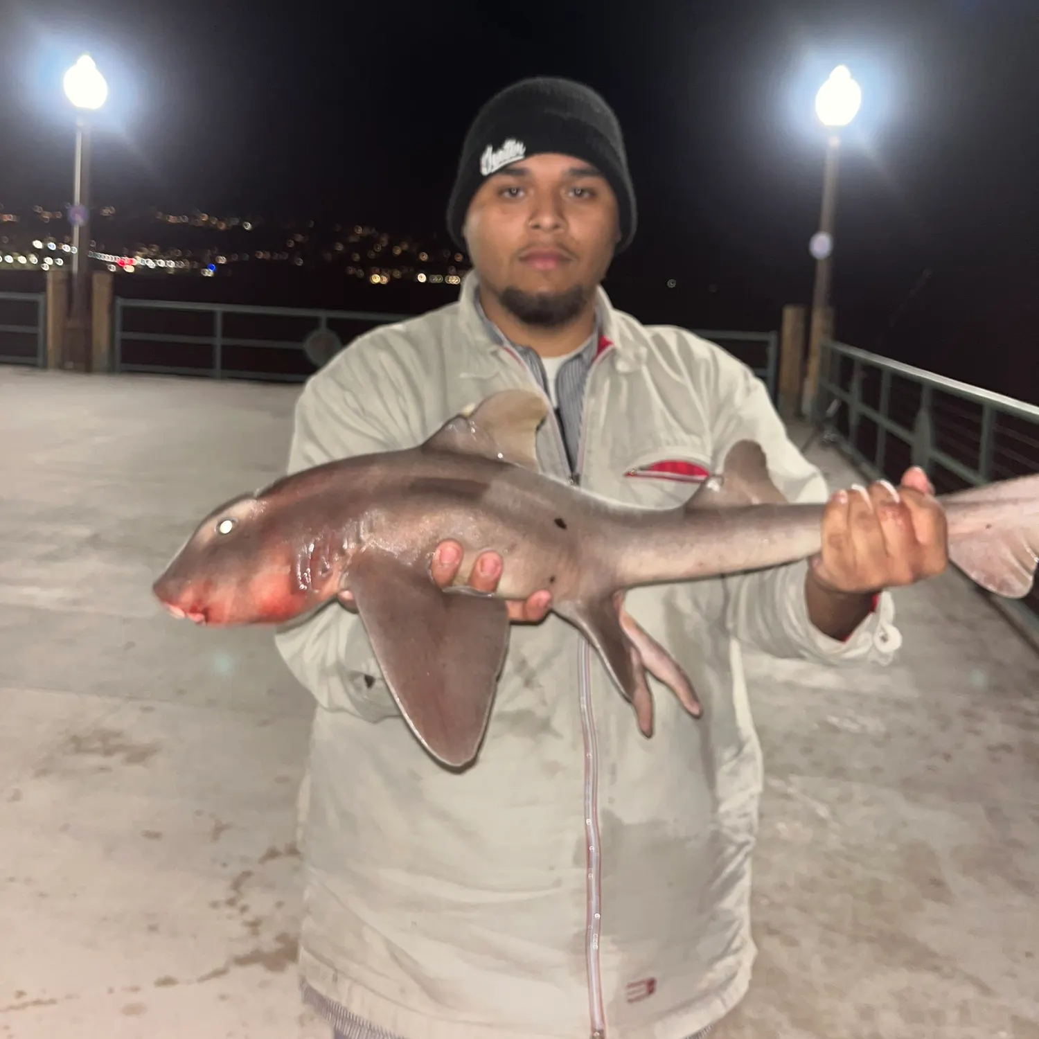 The most recent Horn shark catches on Fishbrain