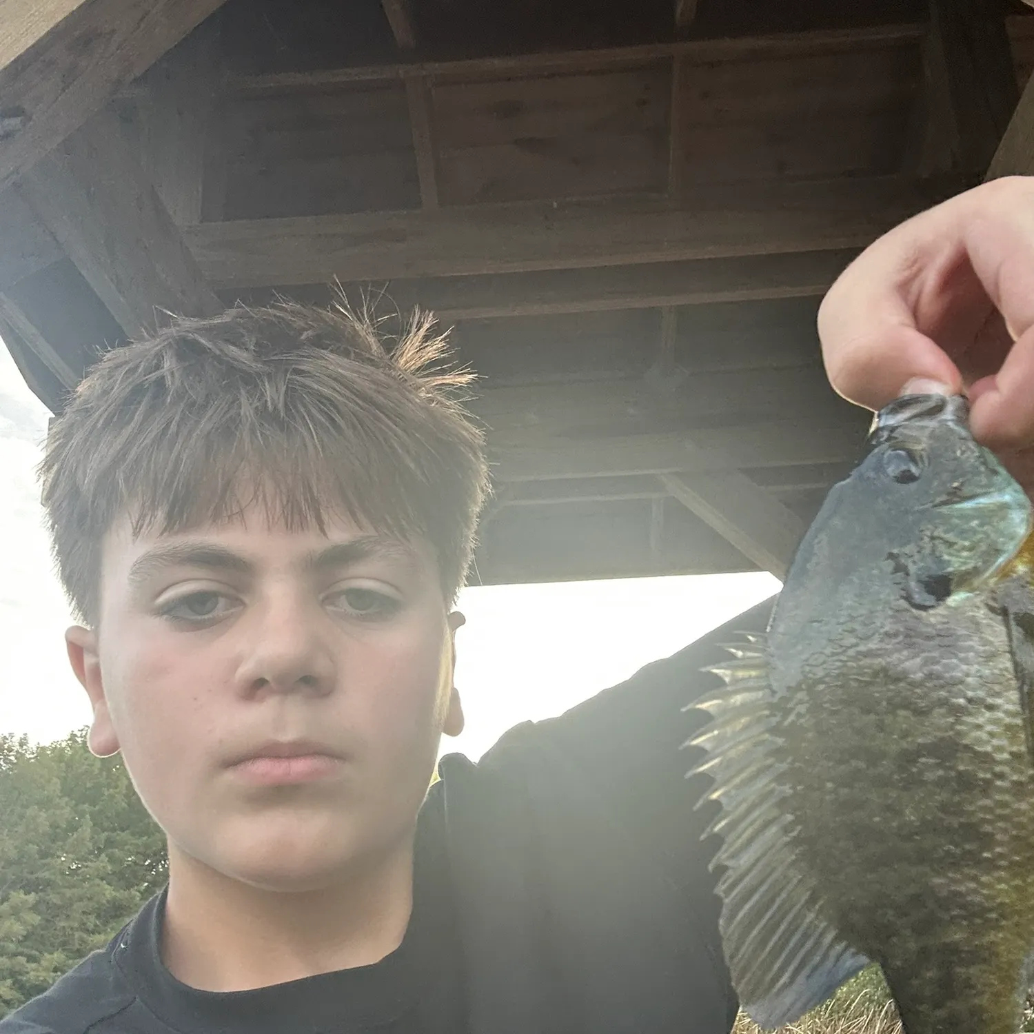 Bluegill caught on Fishbrain