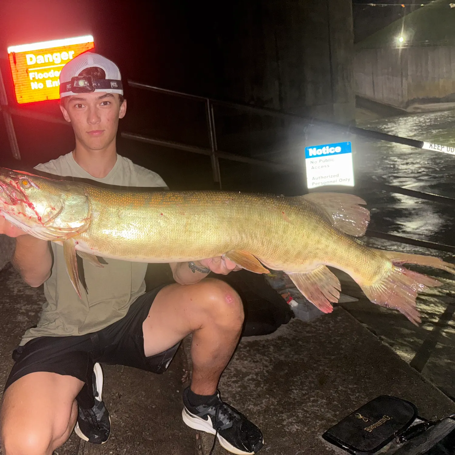 The most recent Muskellunge catches on Fishbrain