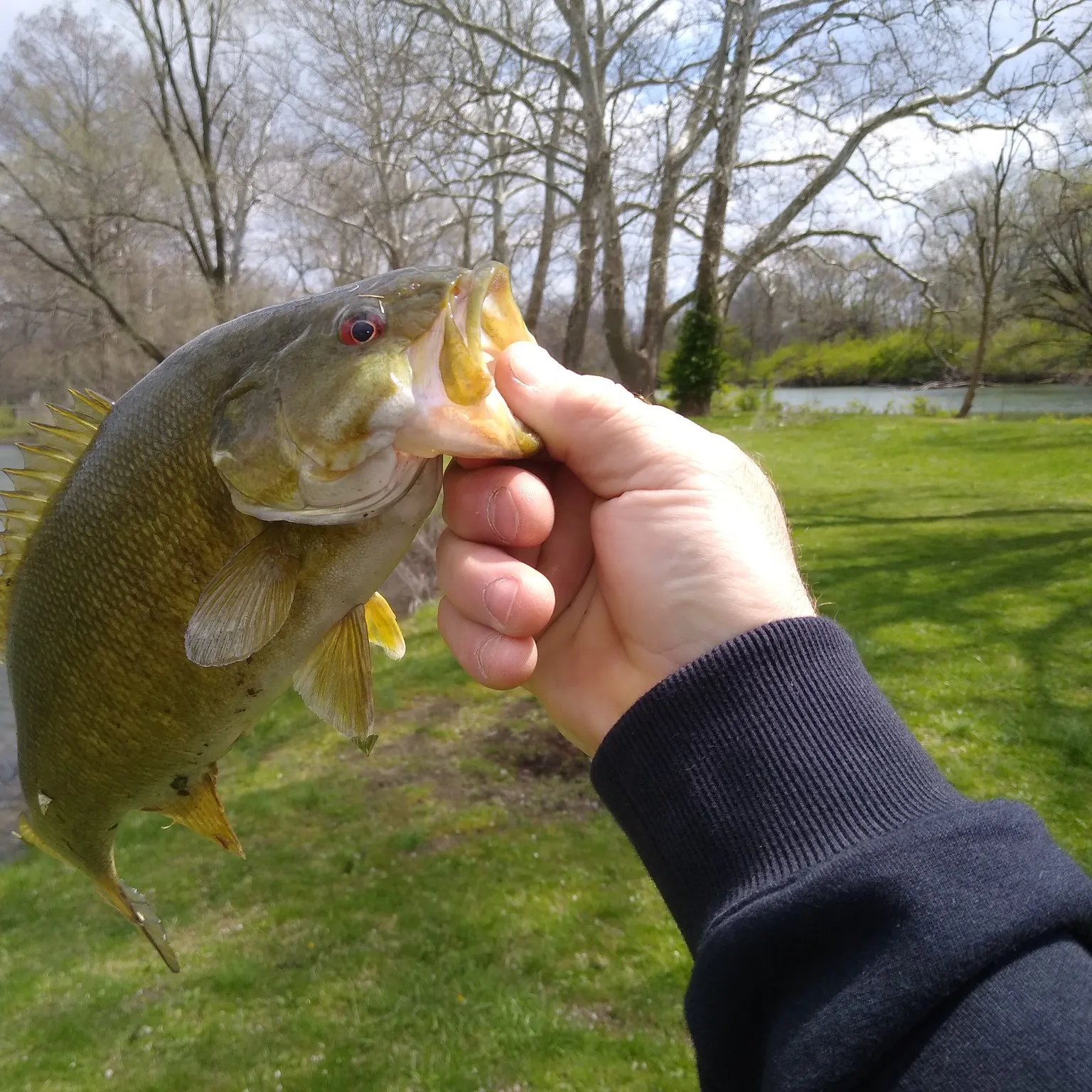 angler catch