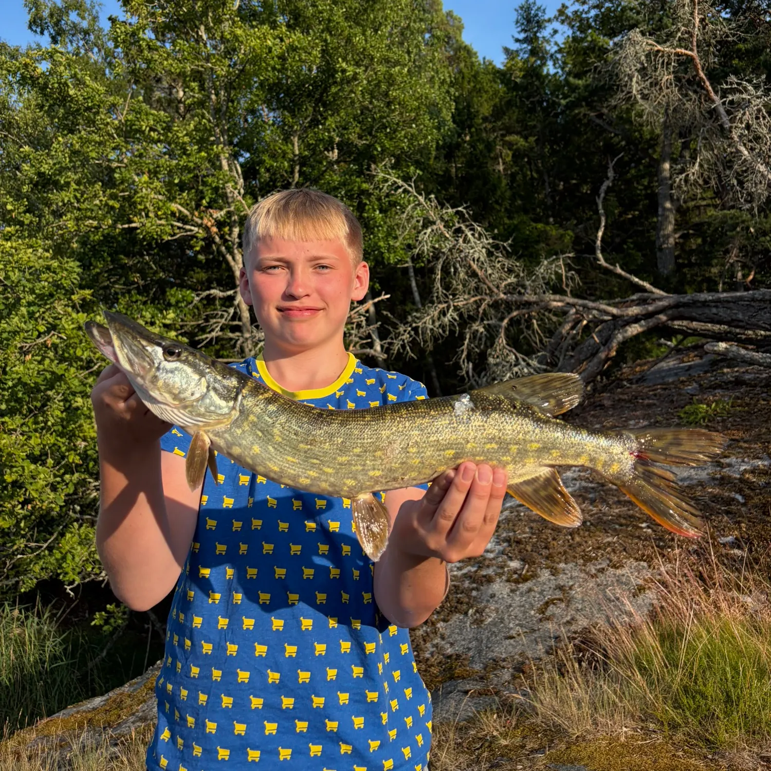 catch