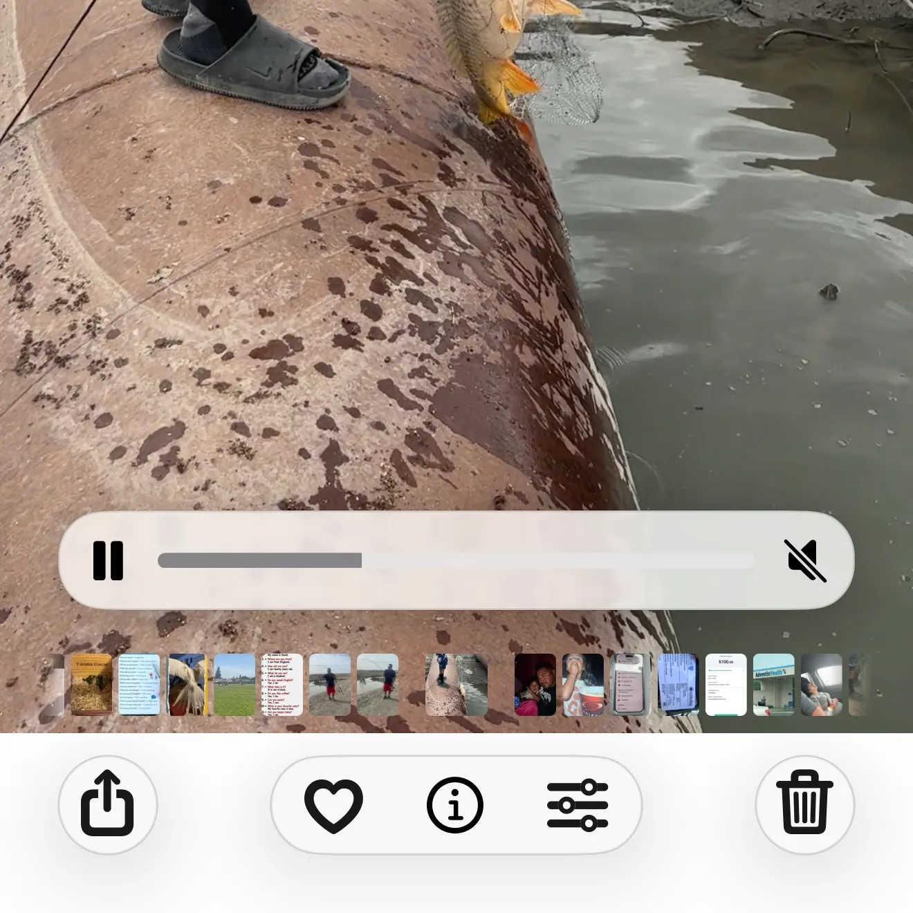 recently logged catches