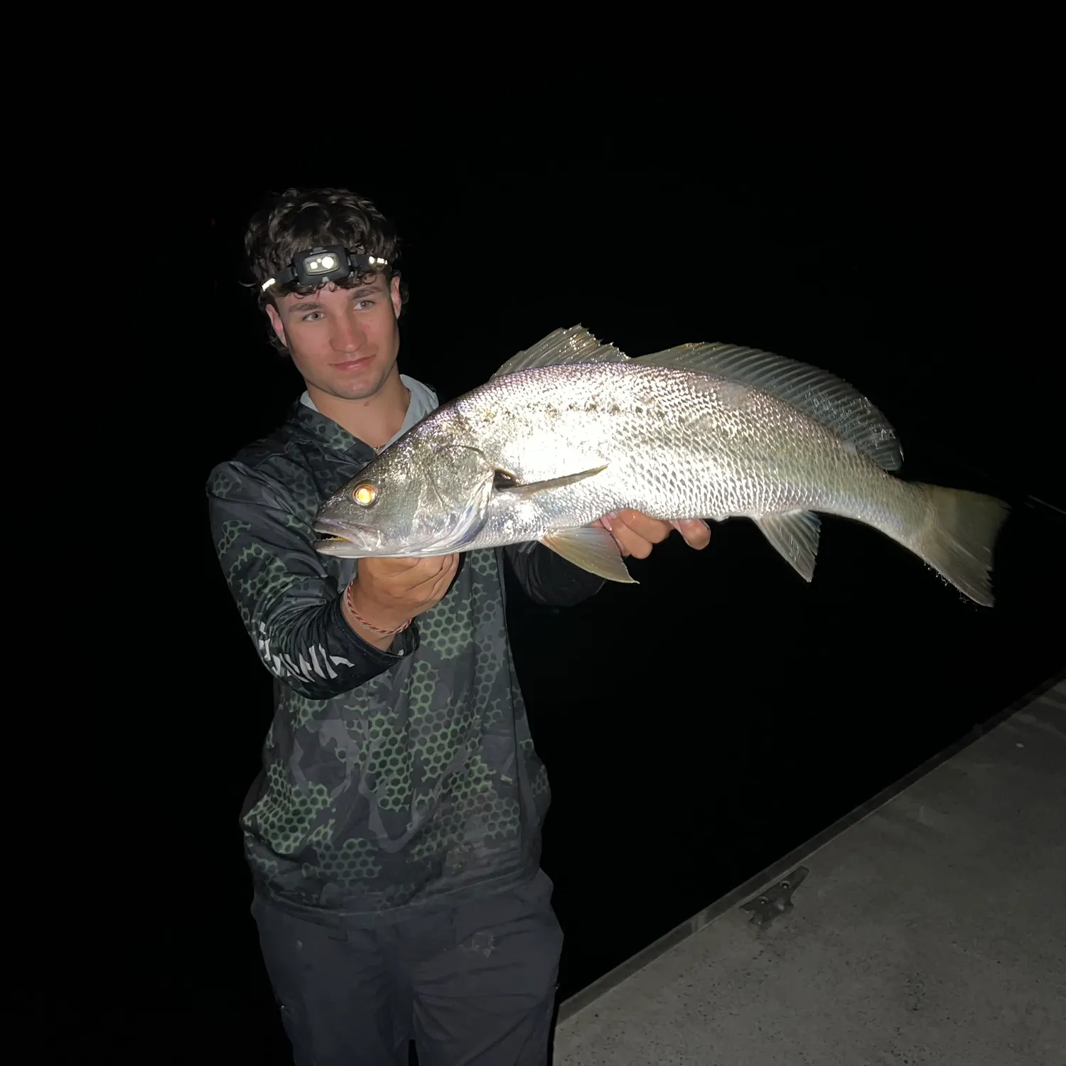 The most recent Japanese meagre catches on Fishbrain