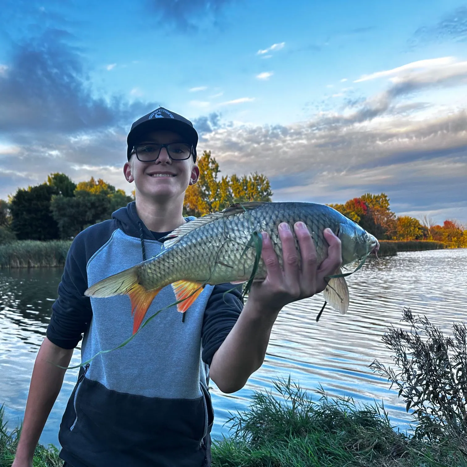 Common carp caught on Fishbrain