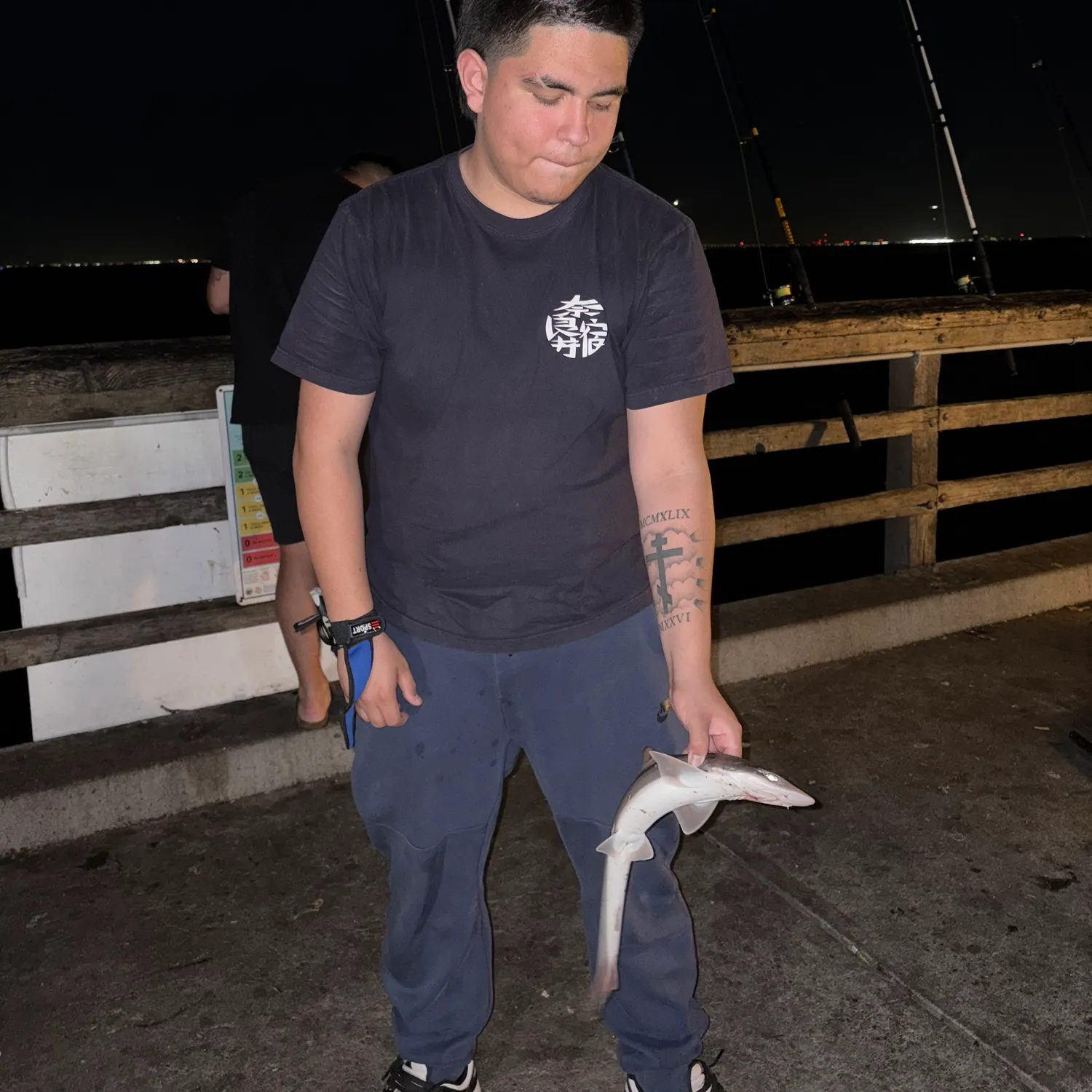 Grey smooth-hound caught on Fishbrain