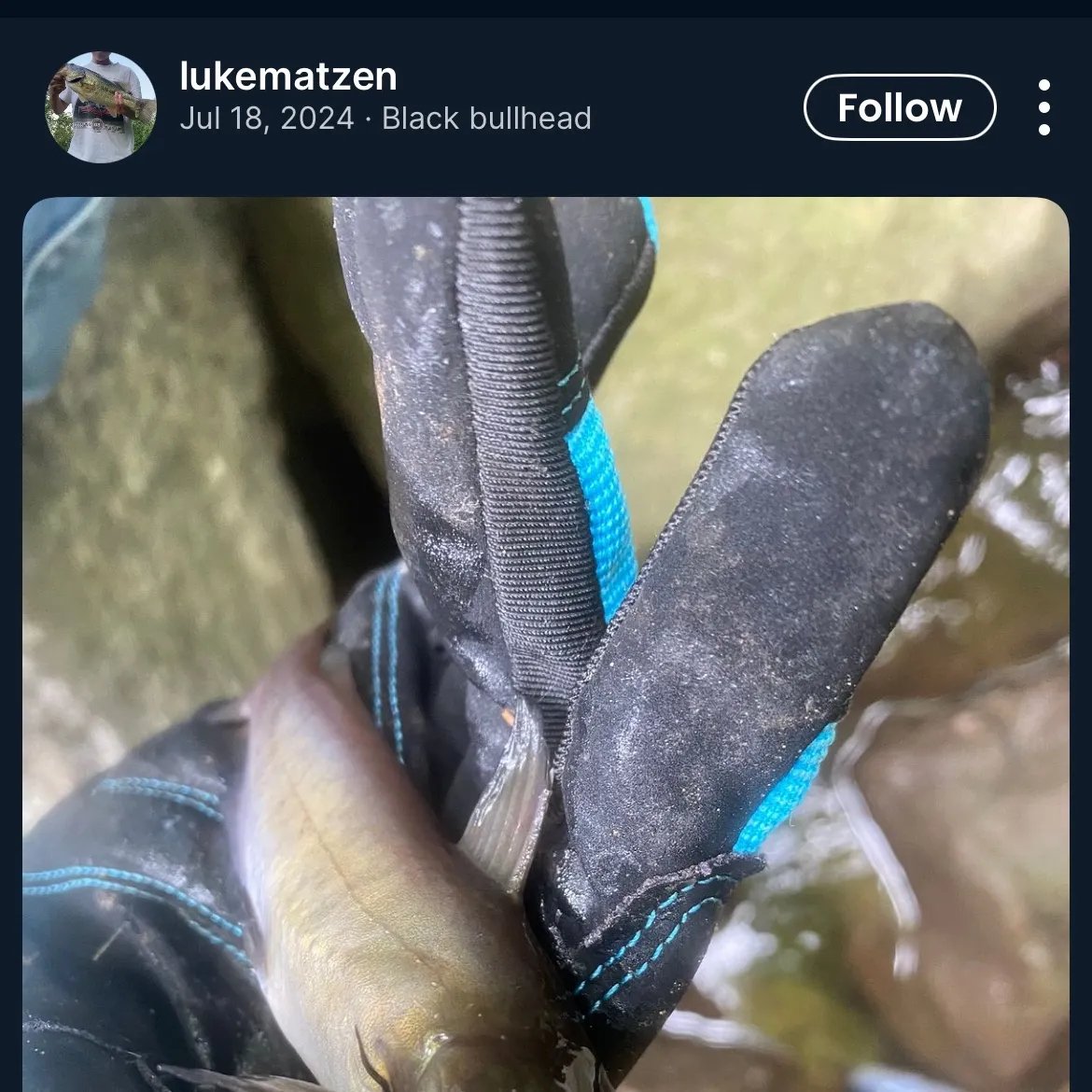 recently logged catches