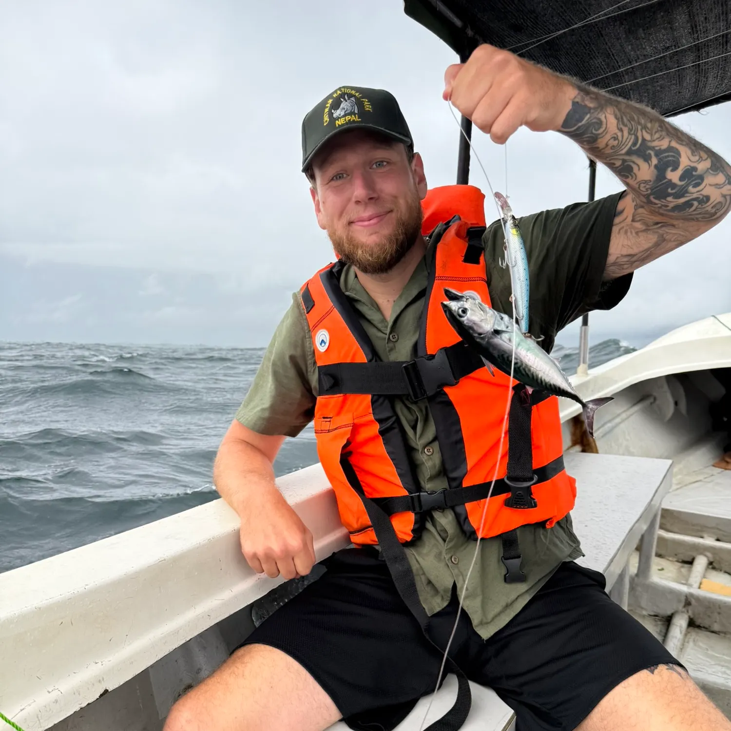 King mackerel caught on Fishbrain