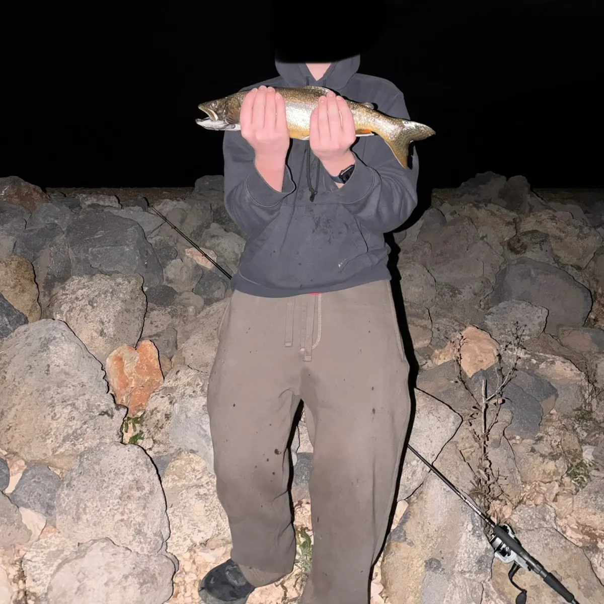 Splake caught on Fishbrain