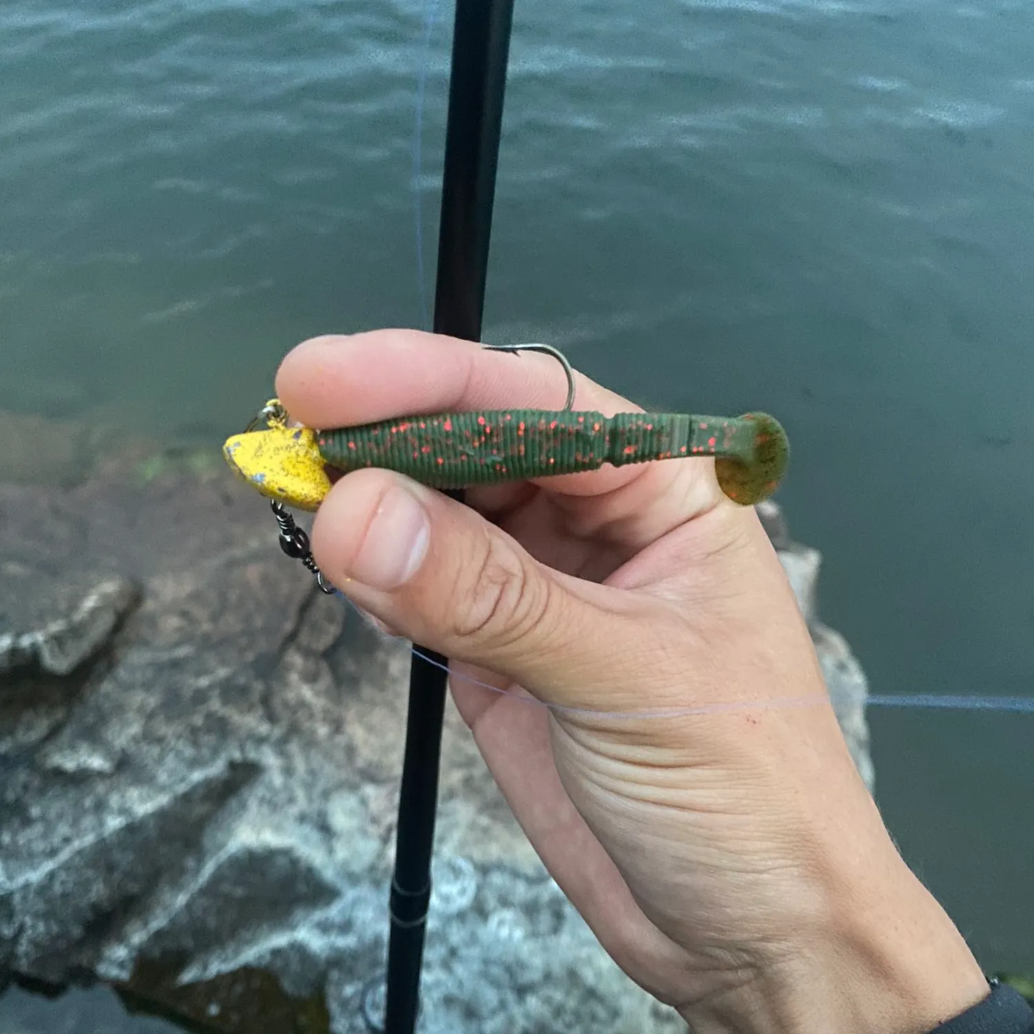 angler catch