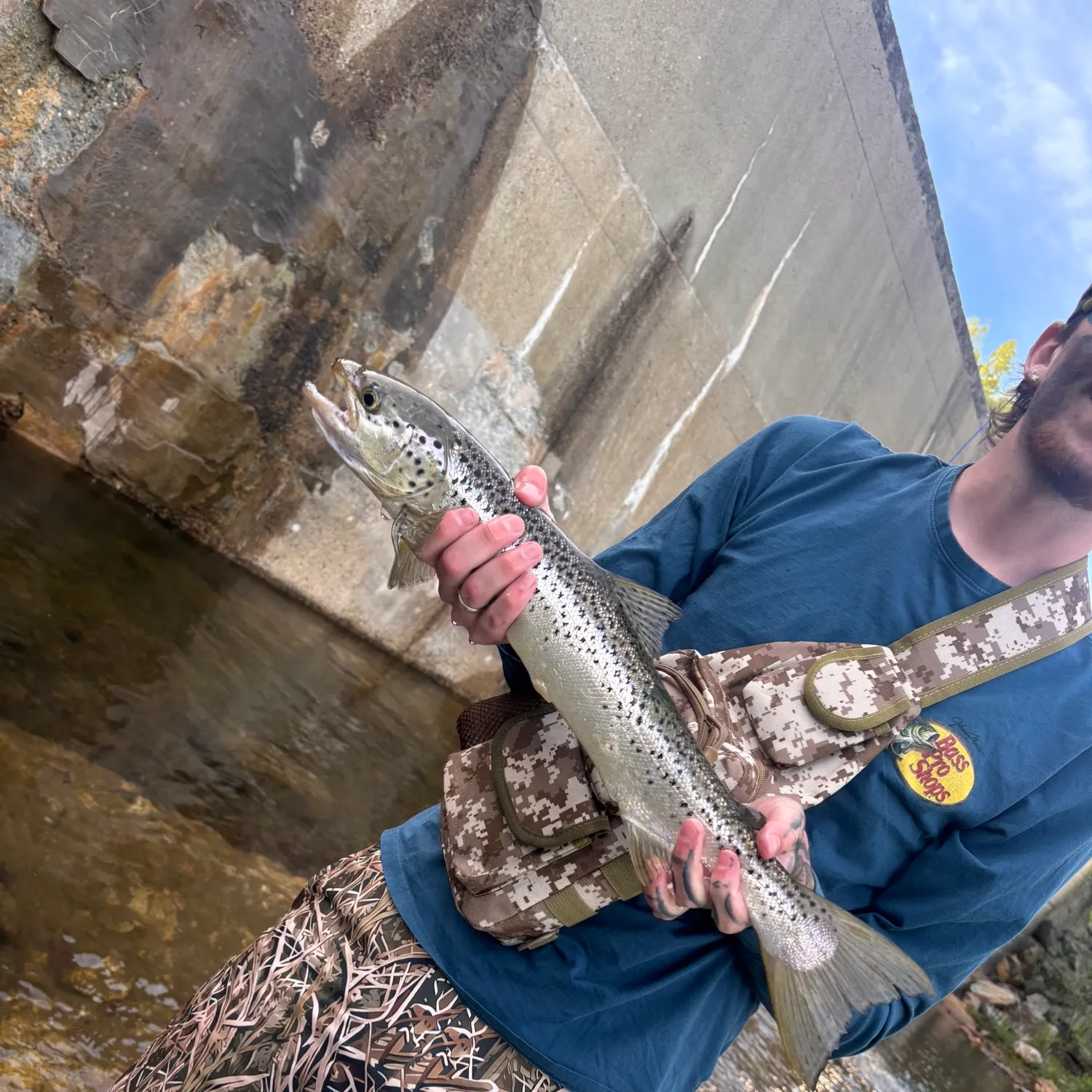 The most recent Landlocked atlantic salmon catches on Fishbrain
