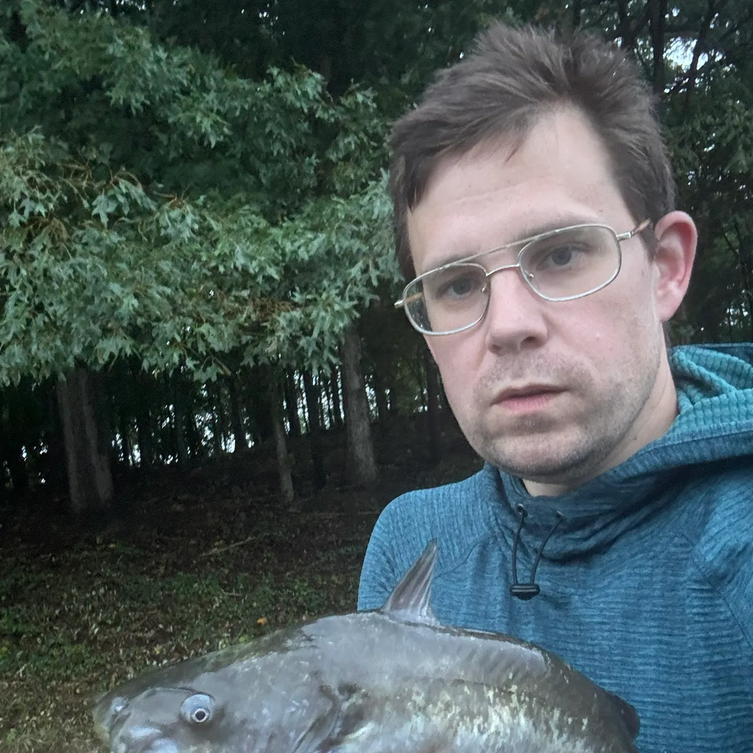 White bullhead caught on Fishbrain