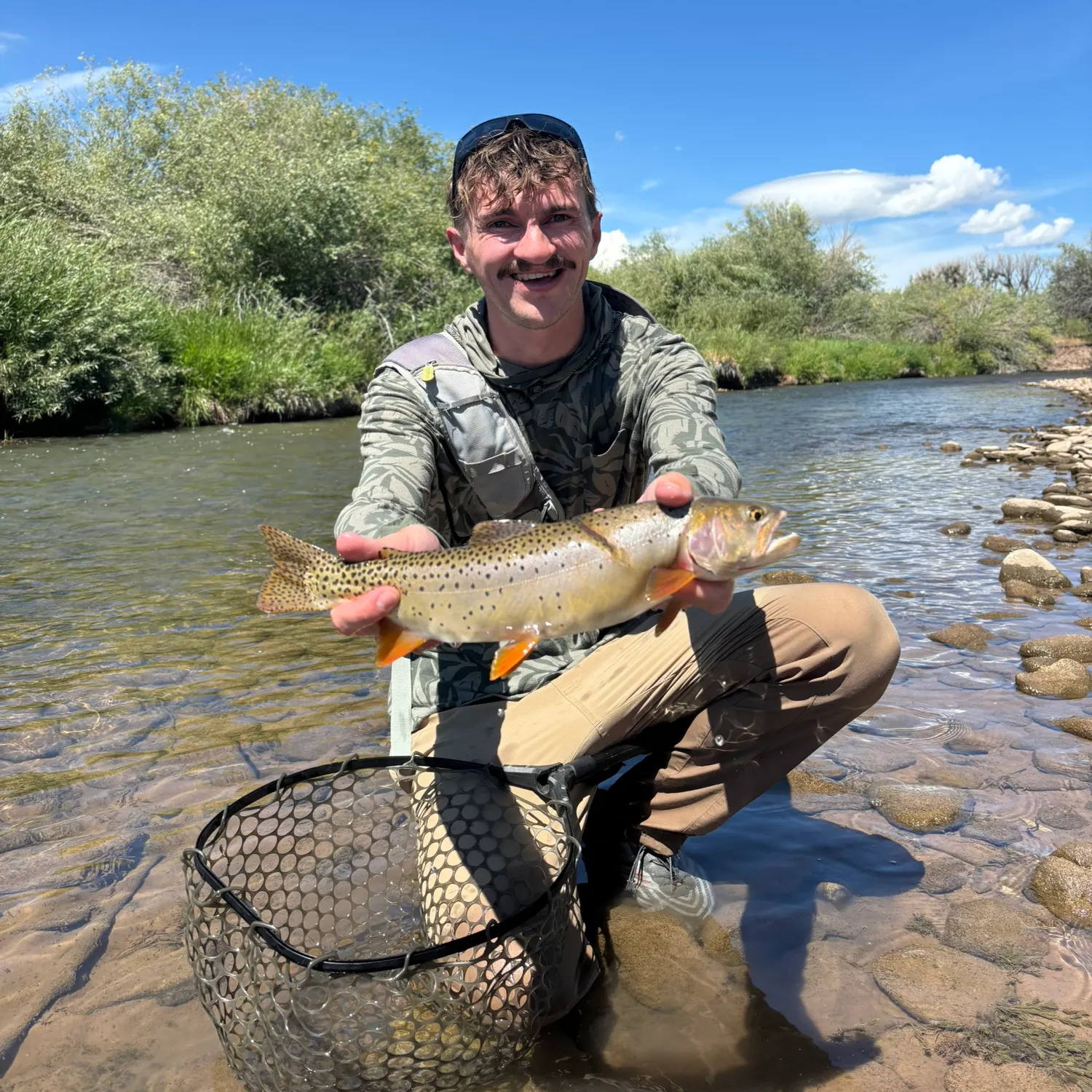 Cutthroat trout caught on Fishbrain