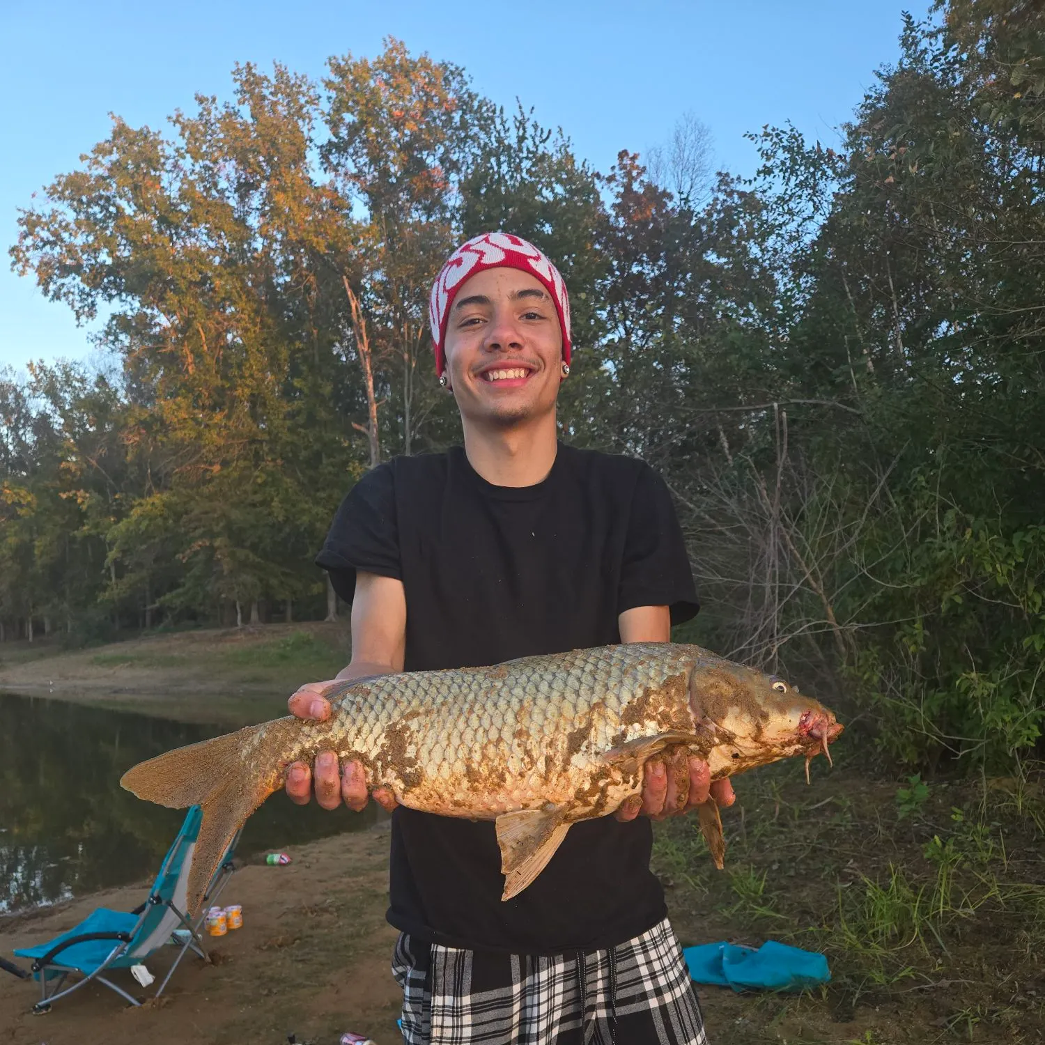 Common carp caught on Fishbrain