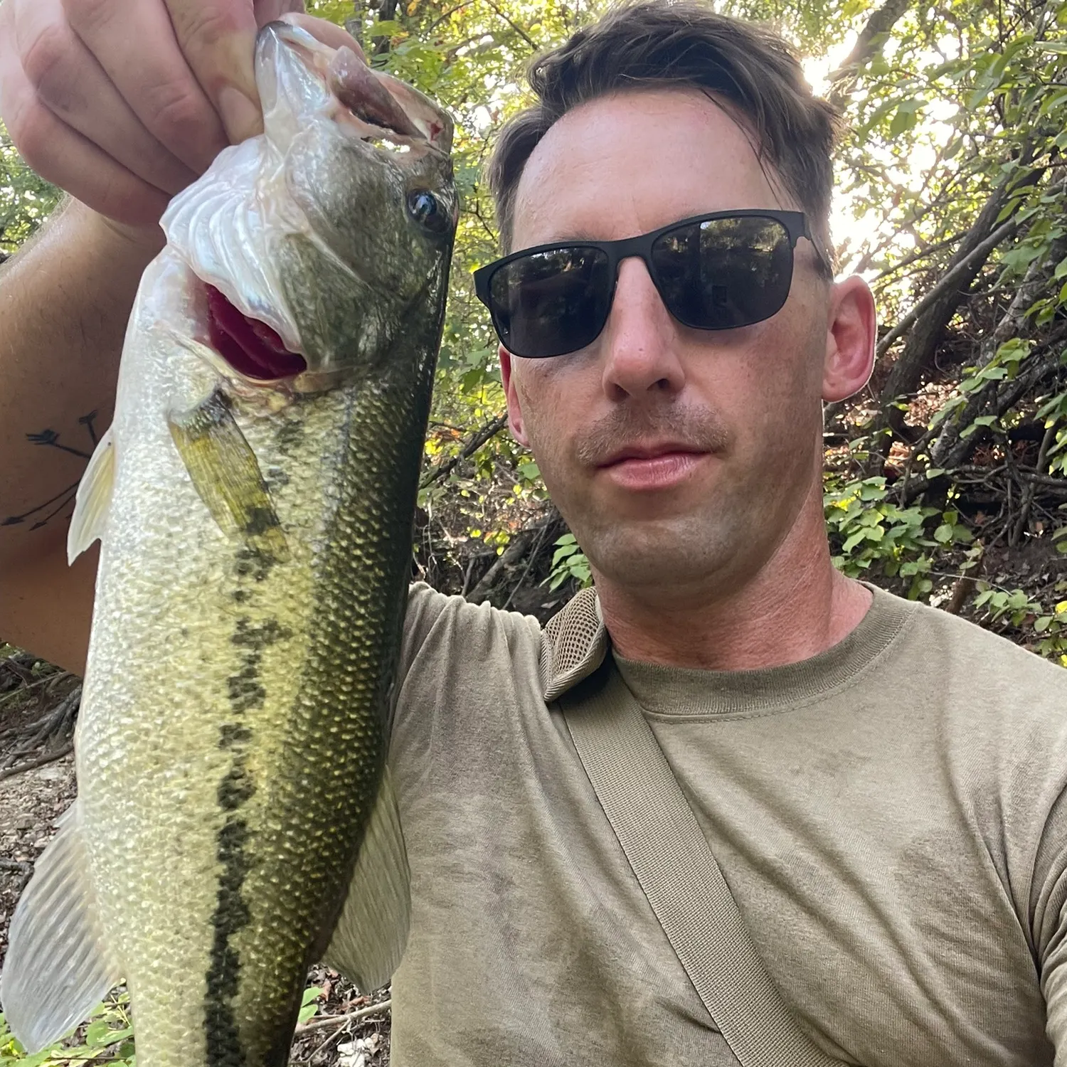 Largemouth bass caught on Fishbrain