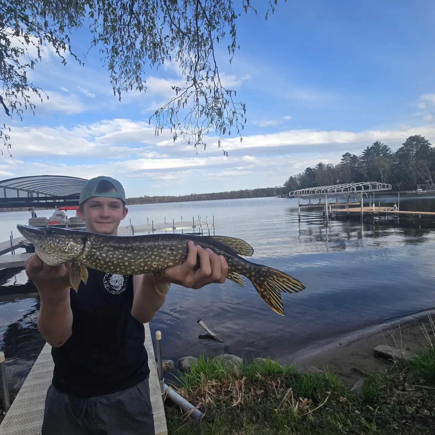 Northern pike caught on Fishbrain