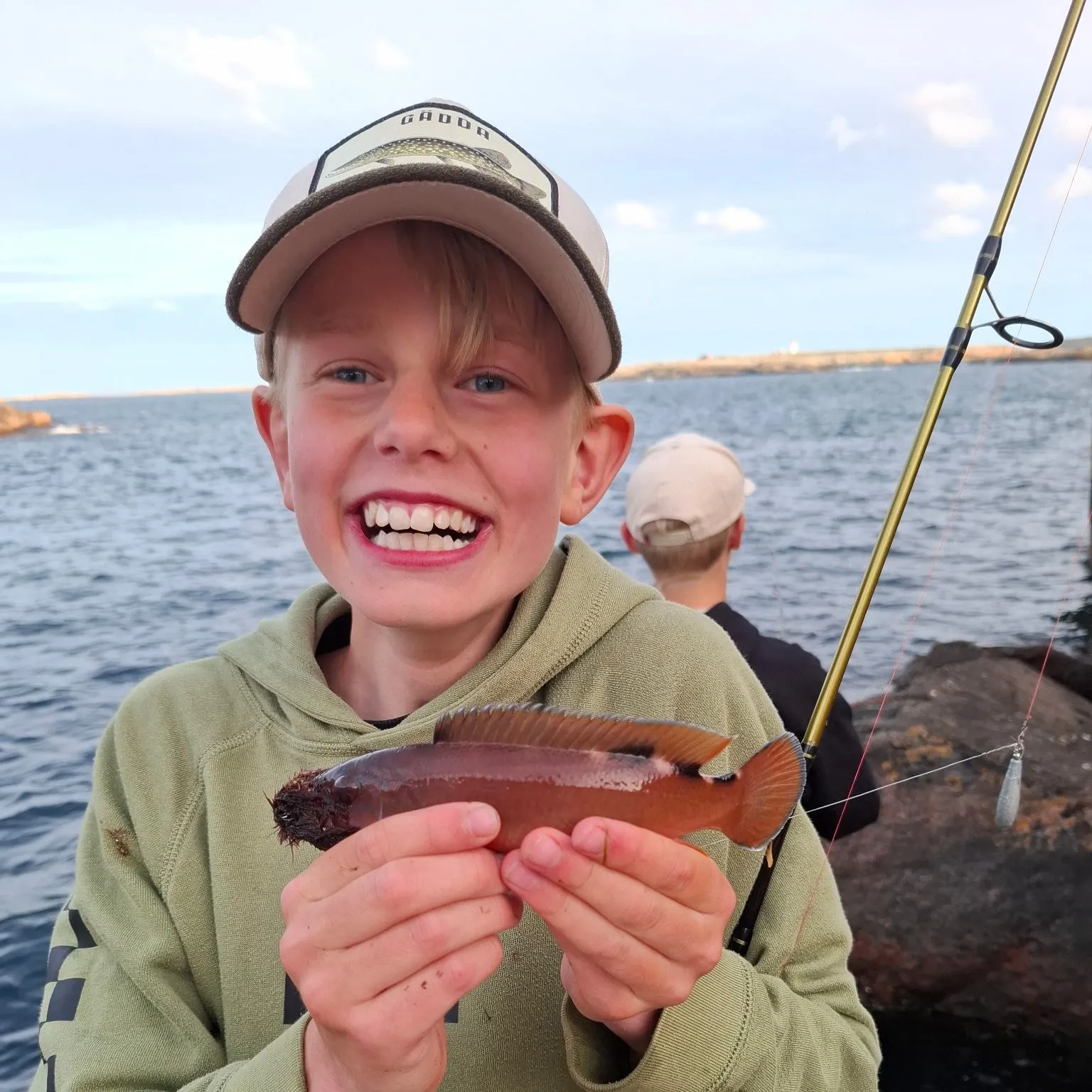 The most recent Cuckoo wrasse catches on Fishbrain