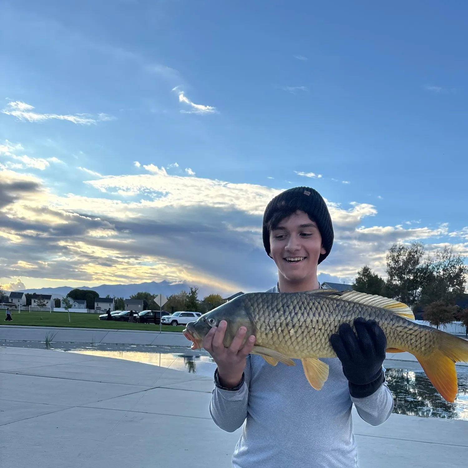 Common carp caught on Fishbrain